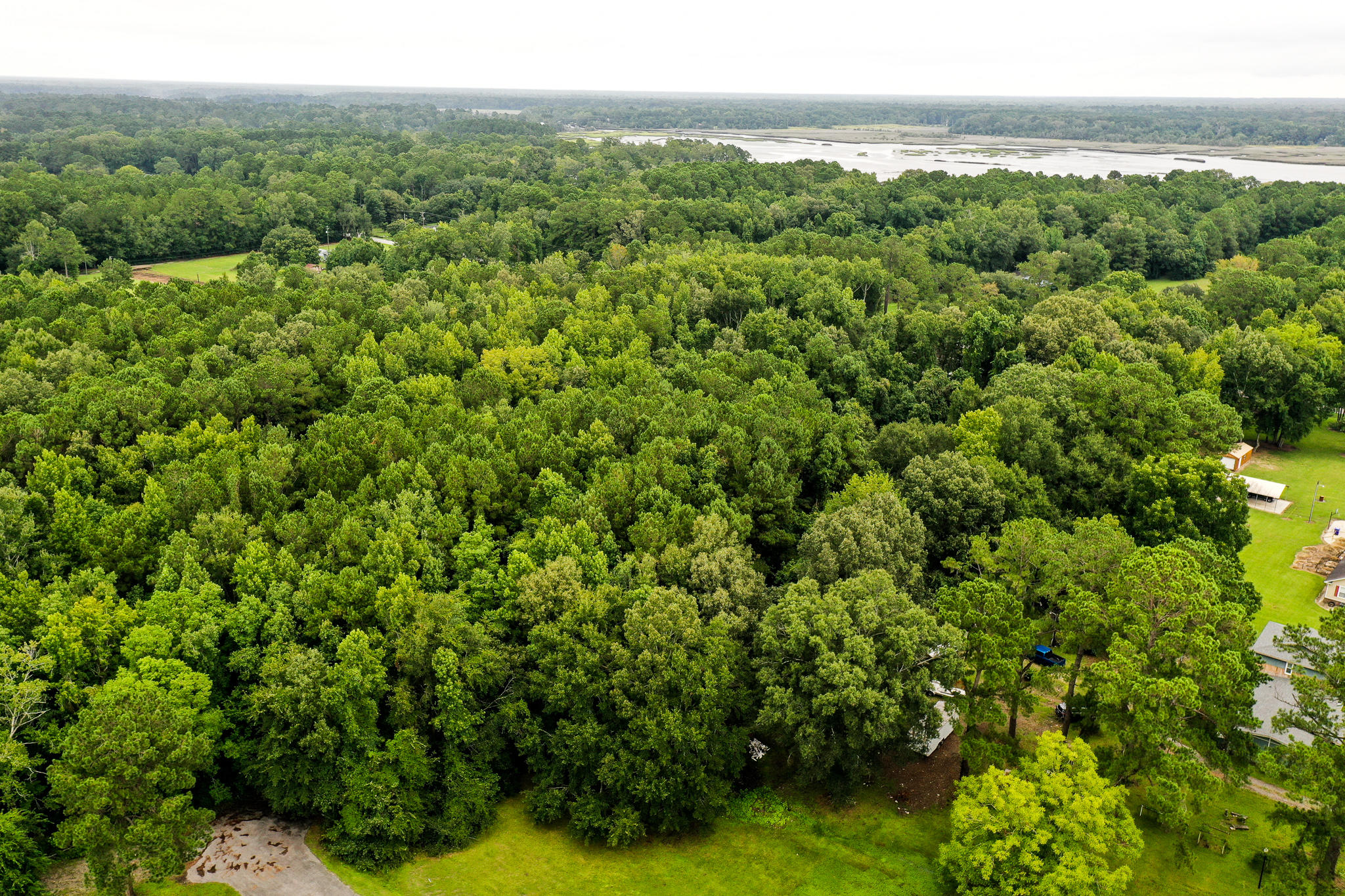 0 Old Tea Farm Road Ravenel, SC 29470 - Photo 1 of 13 DJI_0083