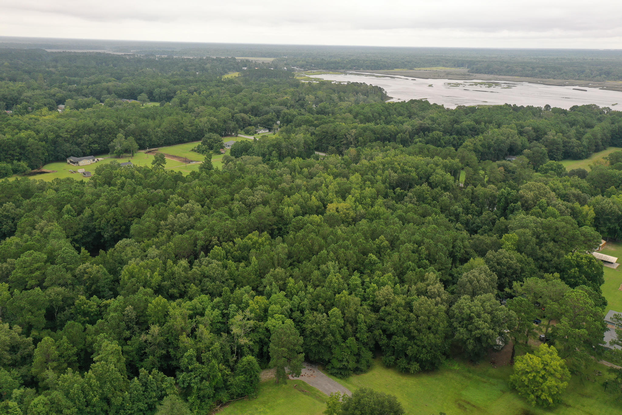 0 Old Tea Farm Road Ravenel, SC 29470 - Photo 13 of 13 DJI_0091