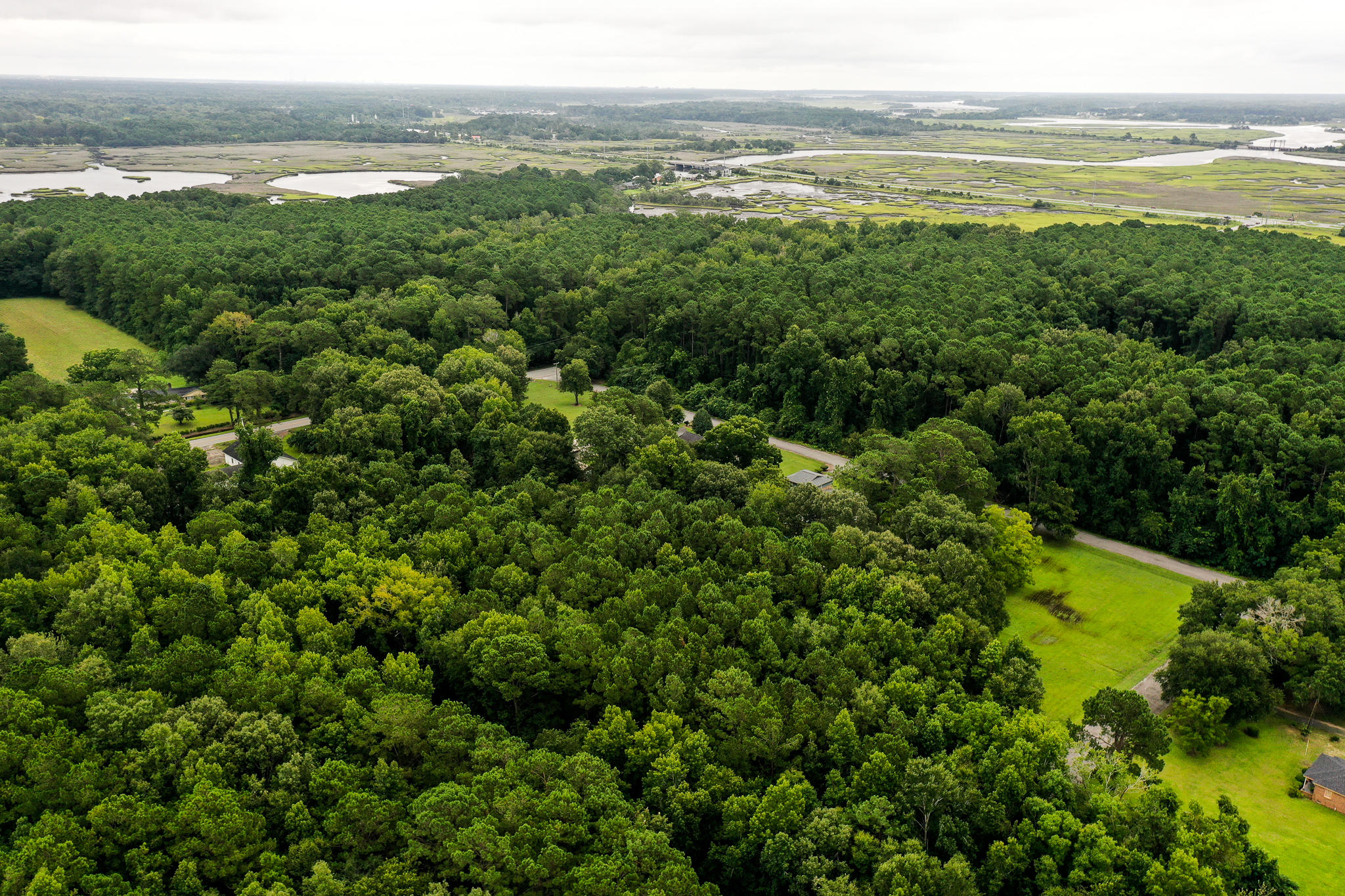 0 Old Tea Farm Road Ravenel, SC 29470 - Photo 3 of 13 DJI_0089