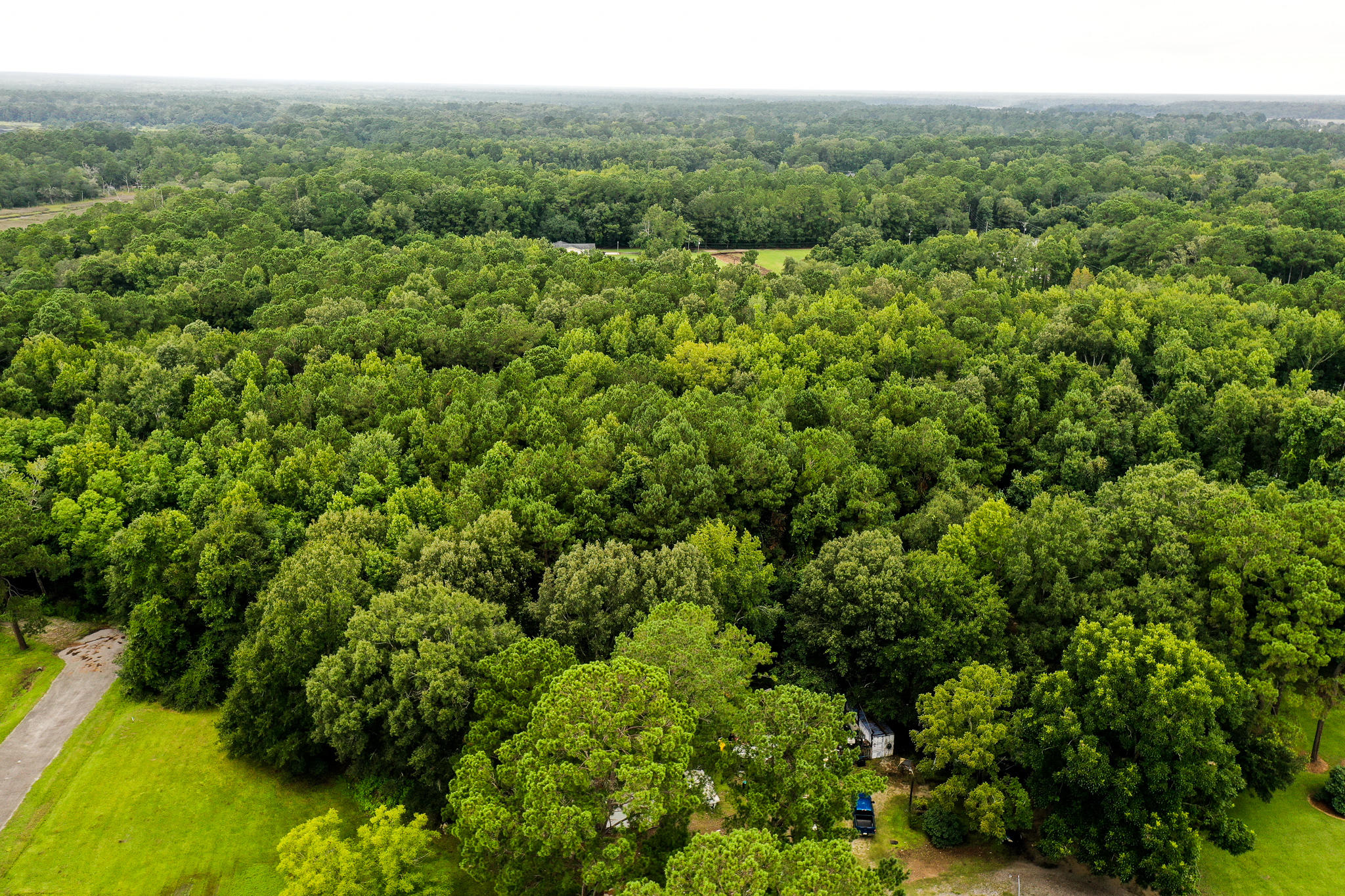 0 Old Tea Farm Road Ravenel, SC 29470 - Photo 6 of 13 DJI_0084