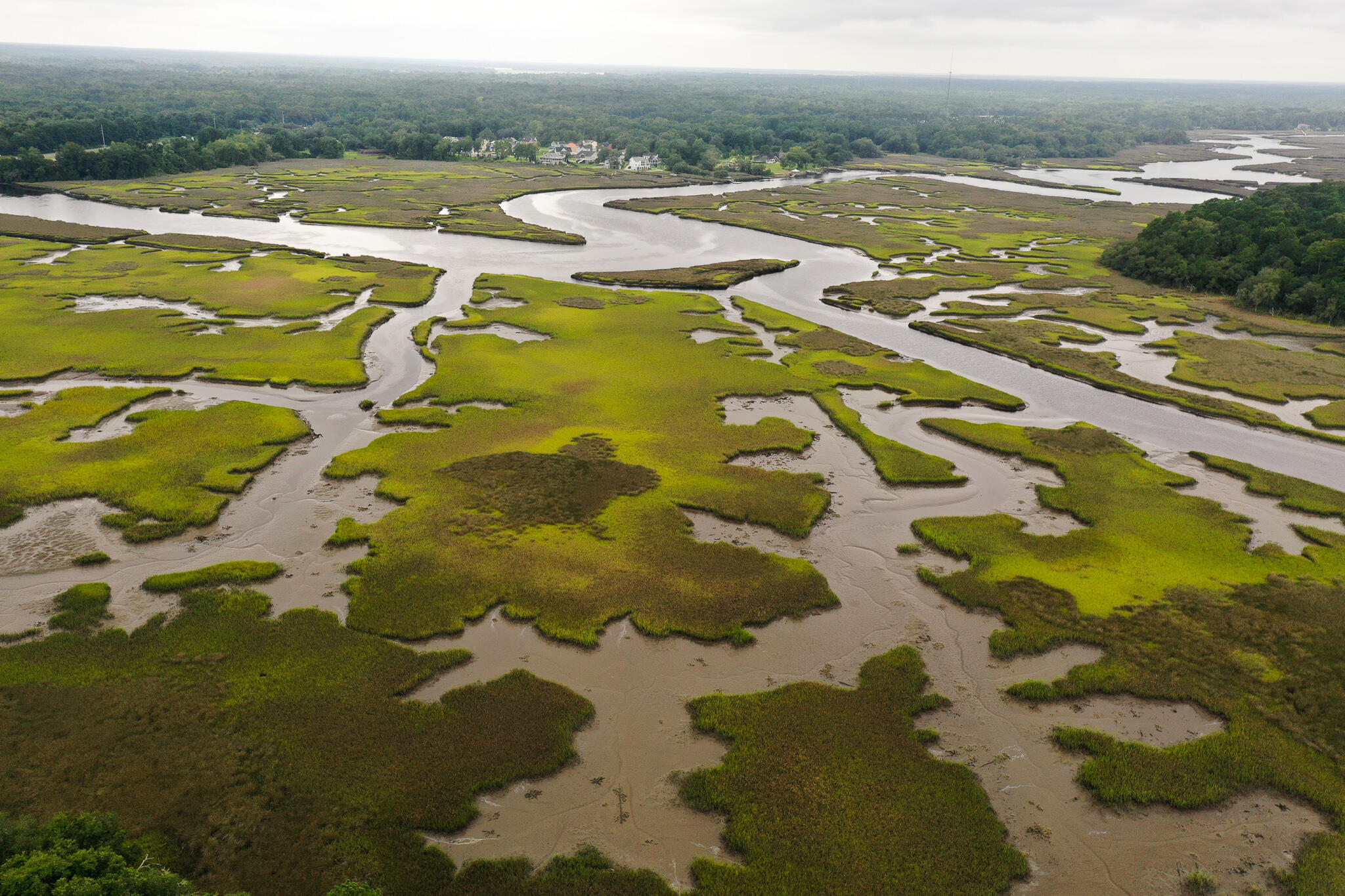 0 Old Tea Farm Road Ravenel, SC 29470 - Photo 8 of 13 DJI_0093
