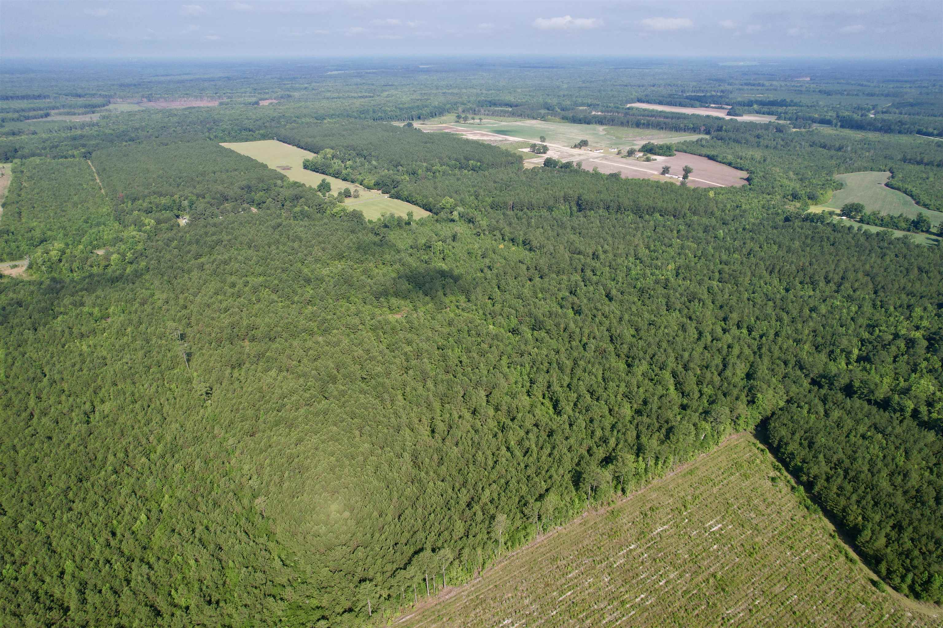 101.49-acres - Epps Road New Zion, SC 29111 - Photo 19 of 24