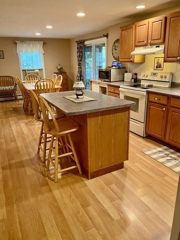 59 Hayden Pond Road Dudley, MA 01571 - Photo 11 of 42