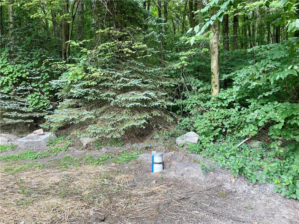 156 County Line Road Acme, PA 15610 - Photo 18 of 19 a view of a trees with a plants