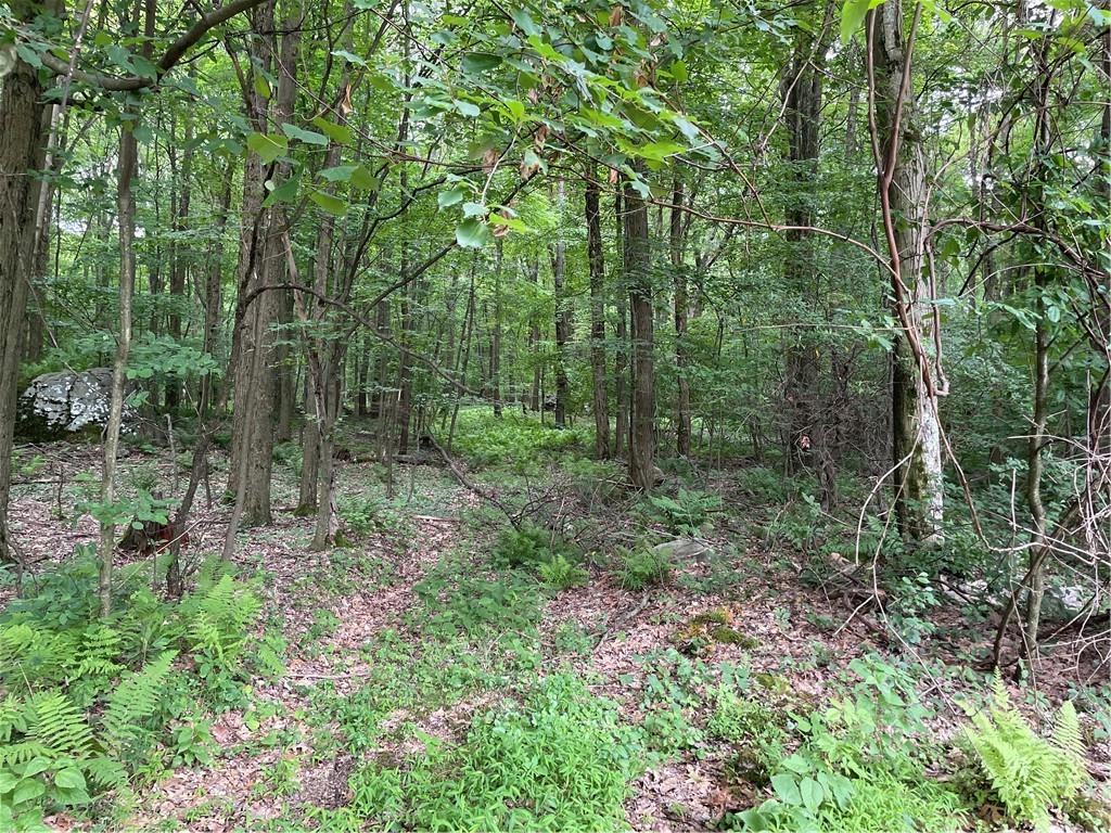 156 County Line Road Acme, PA 15610 - Photo 19 of 19 a view of a forest that has large trees