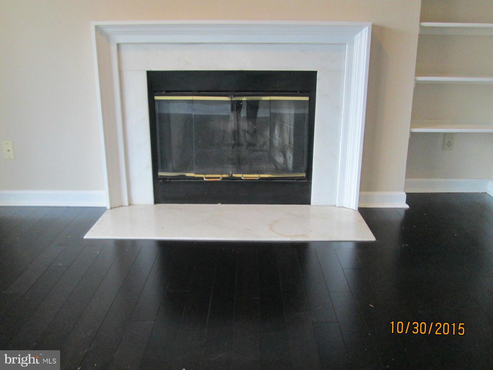 13706 Modrad Way, Unit 7A41 Silver Spring, MD 20904 - Photo 3 of 15 Wood burning fireplace in Living Room