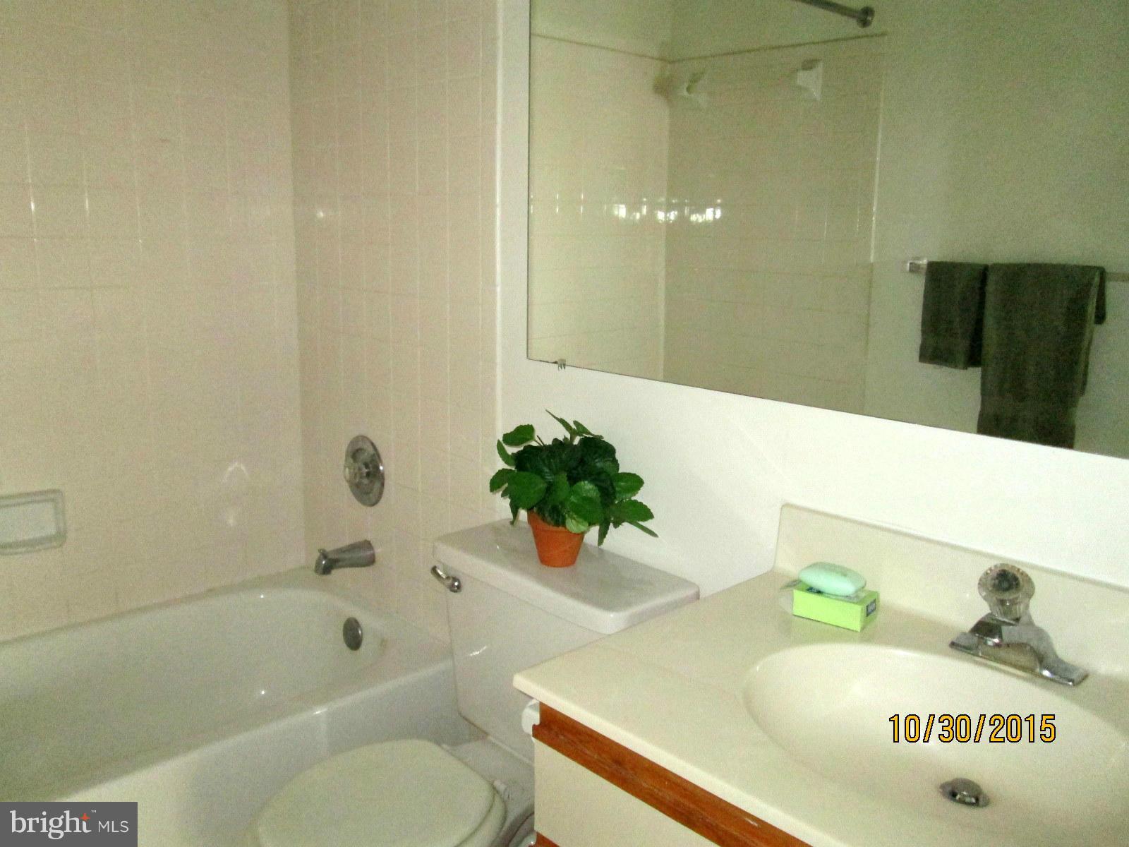 13706 Modrad Way, Unit 7A41 Silver Spring, MD 20904 - Photo 4 of 15 Guest Bath