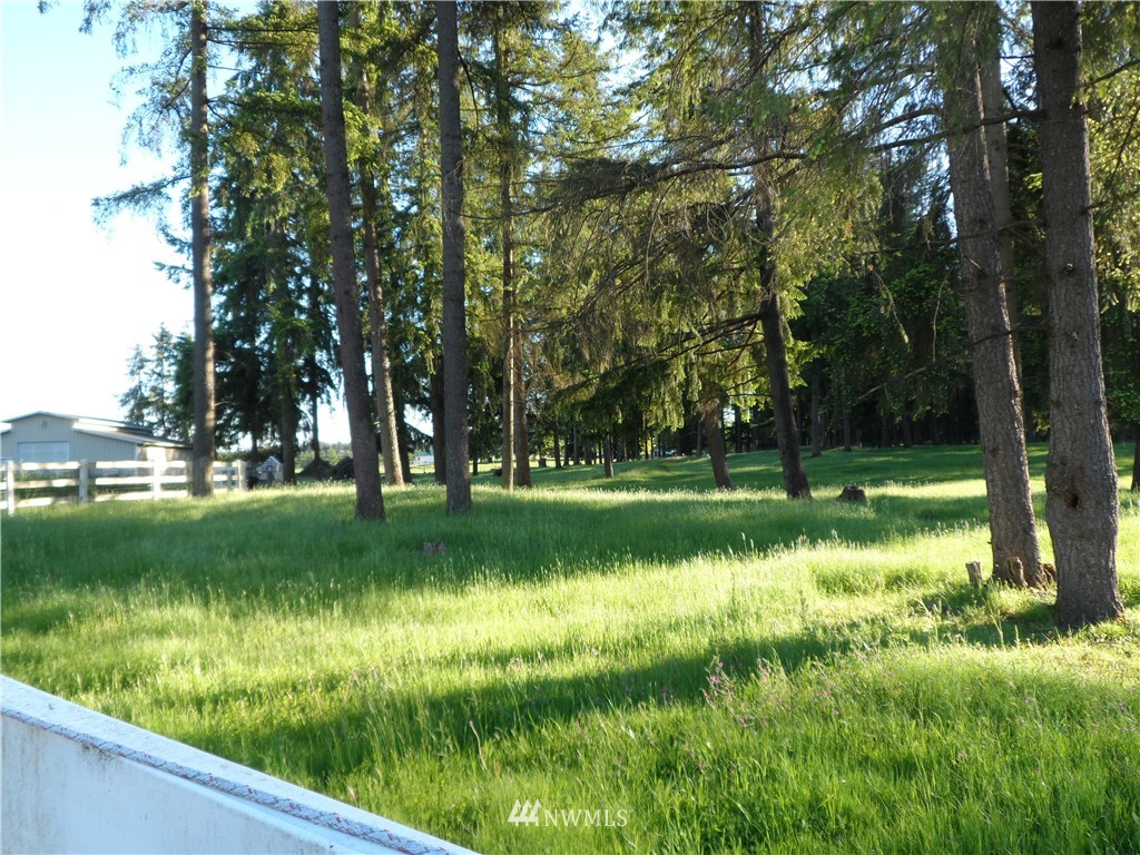 10225 173rd Avenue Southwest Rochester, WA 98579 - Photo 13 of 24