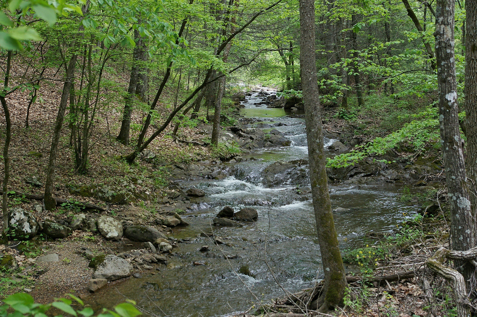 246 Miller Cove Road Catawba, VA 24070 - Photo 8 of 32 Creek2