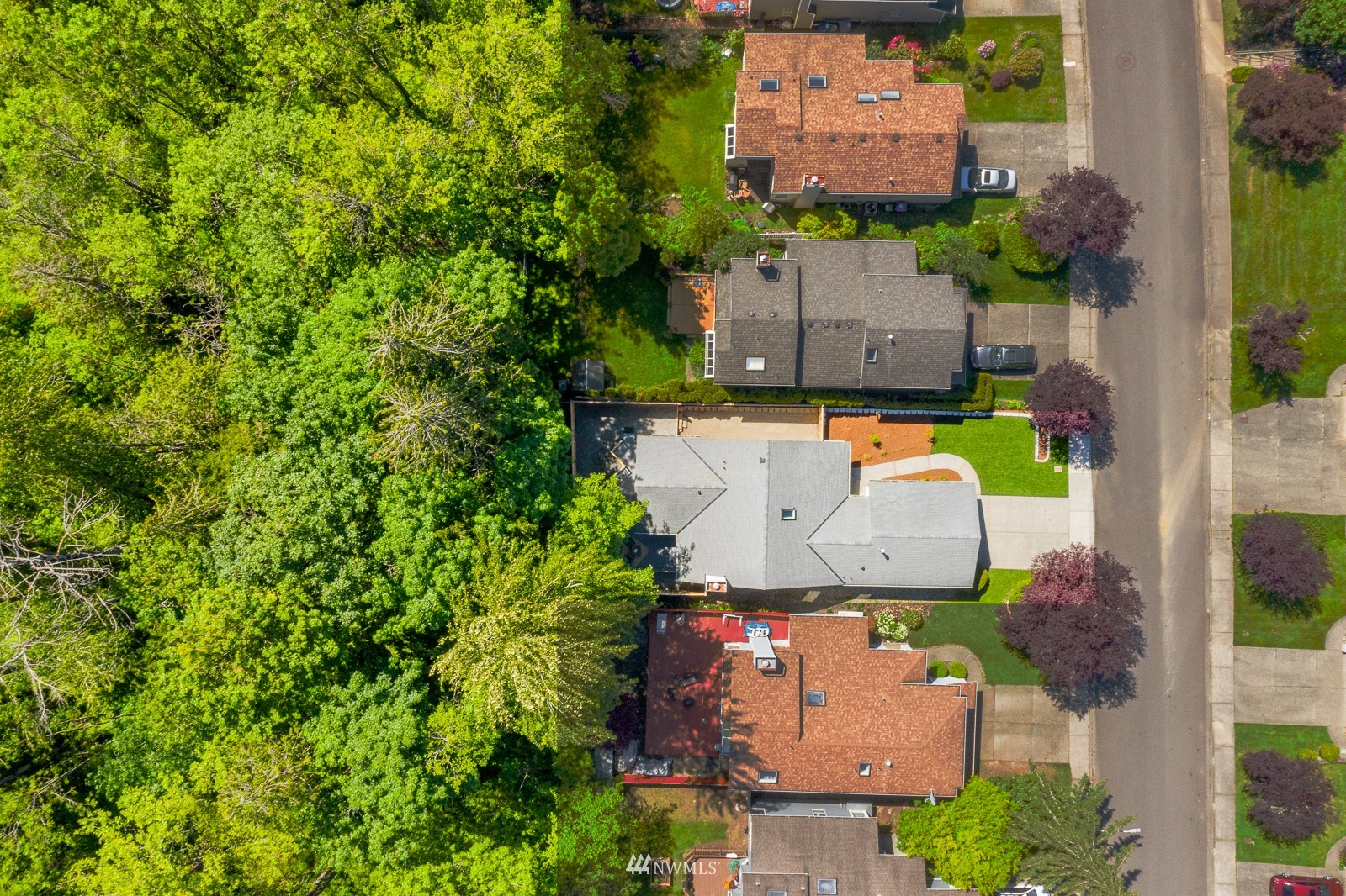 901 South 32nd Street Renton, WA 98055 - Photo 31 of 32 an aerial view of a house with a yard and a large tree