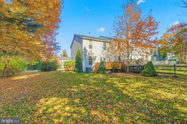 a view of a garden with plants and large trees