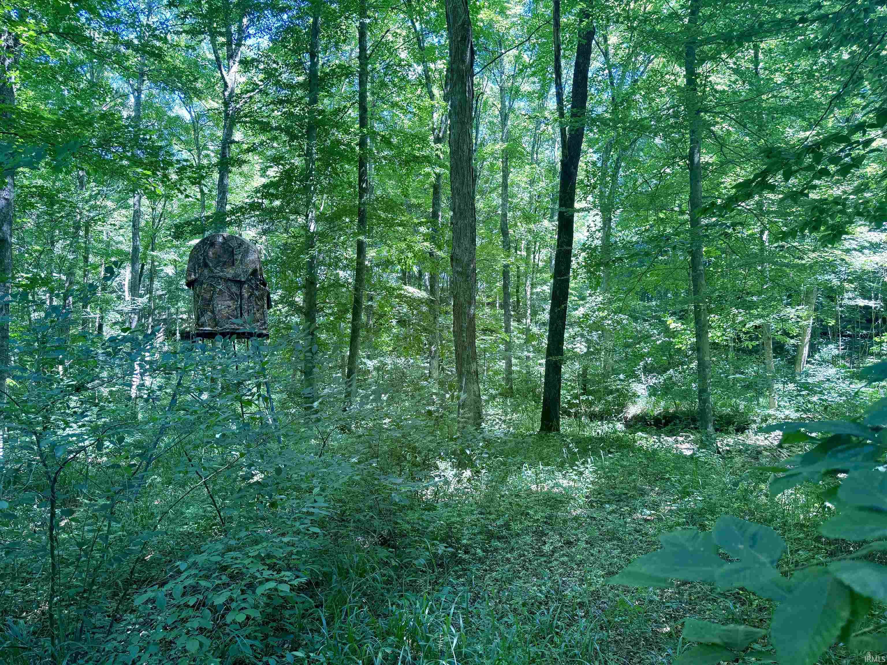 Off Off Westfork English, IN 47118 - Photo 21 of 36