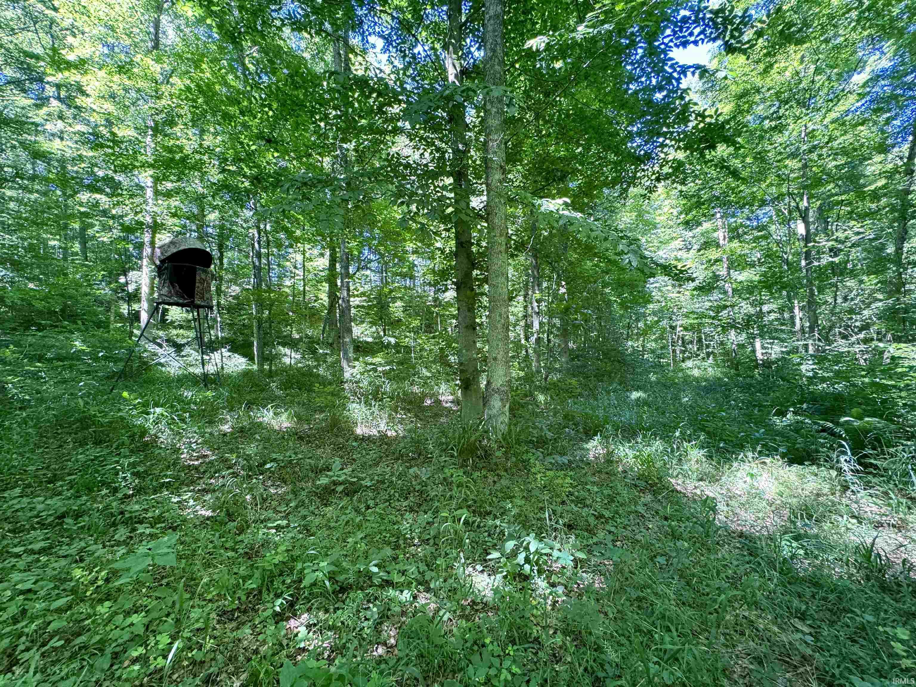 Off Off Westfork English, IN 47118 - Photo 24 of 36