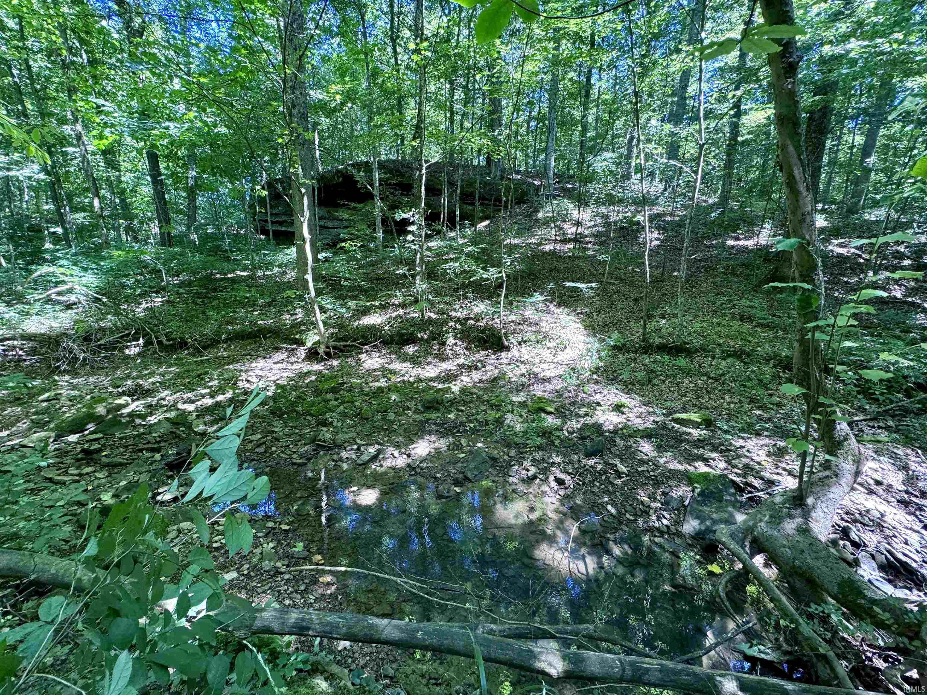 Off Off Westfork English, IN 47118 - Photo 25 of 36