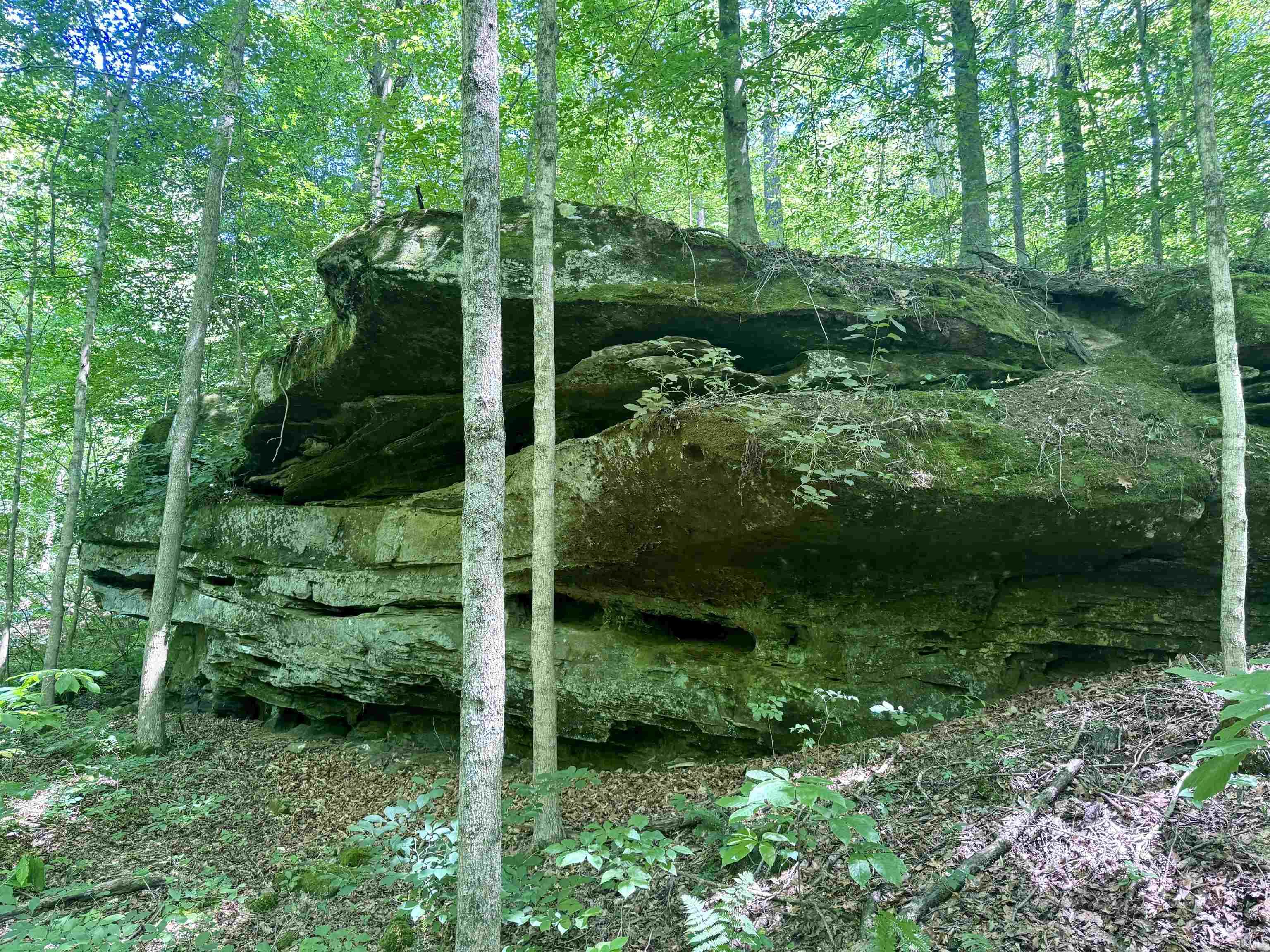 Off Off Westfork English, IN 47118 - Photo 26 of 36