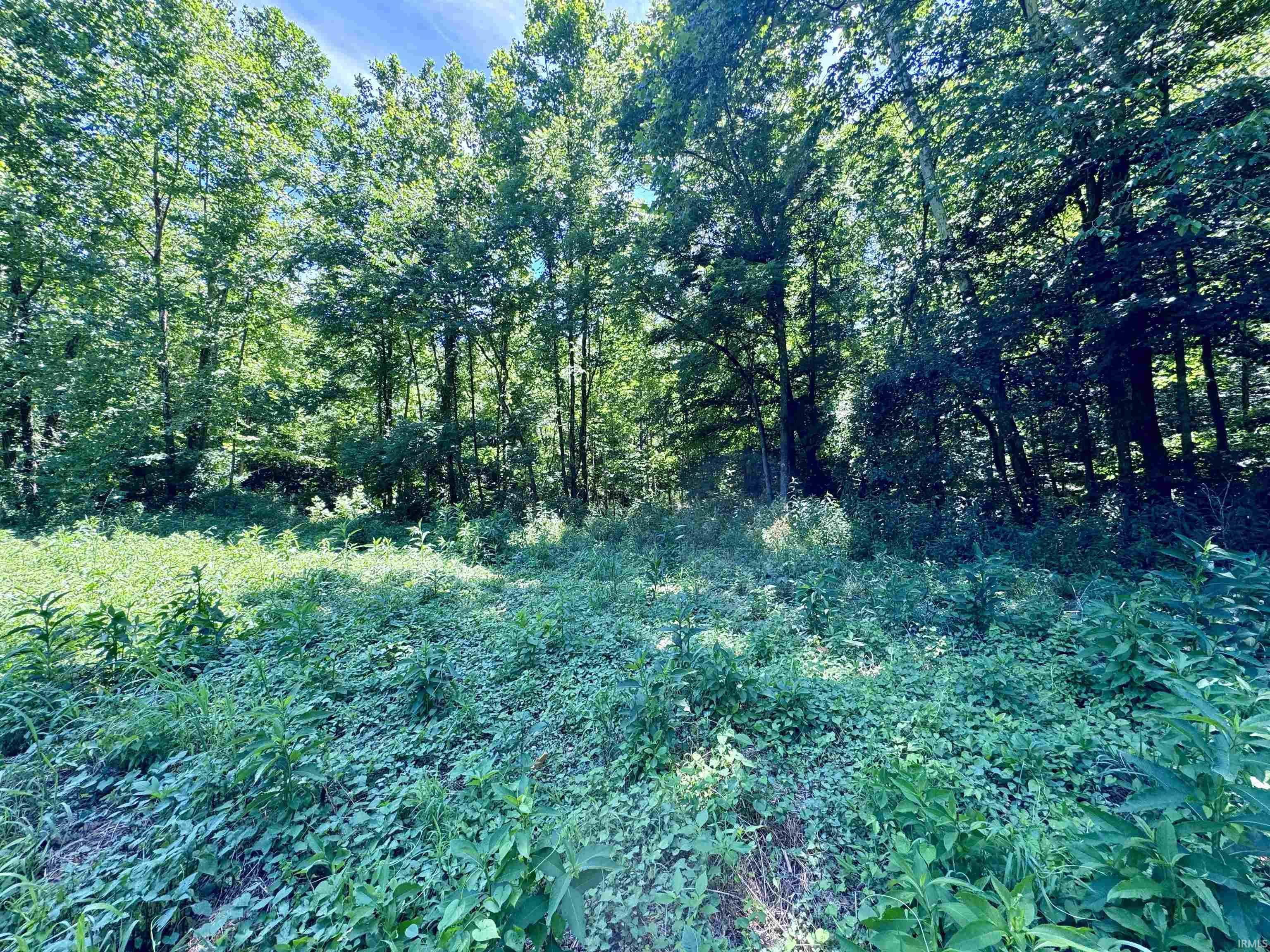 Off Off Westfork English, IN 47118 - Photo 3 of 36