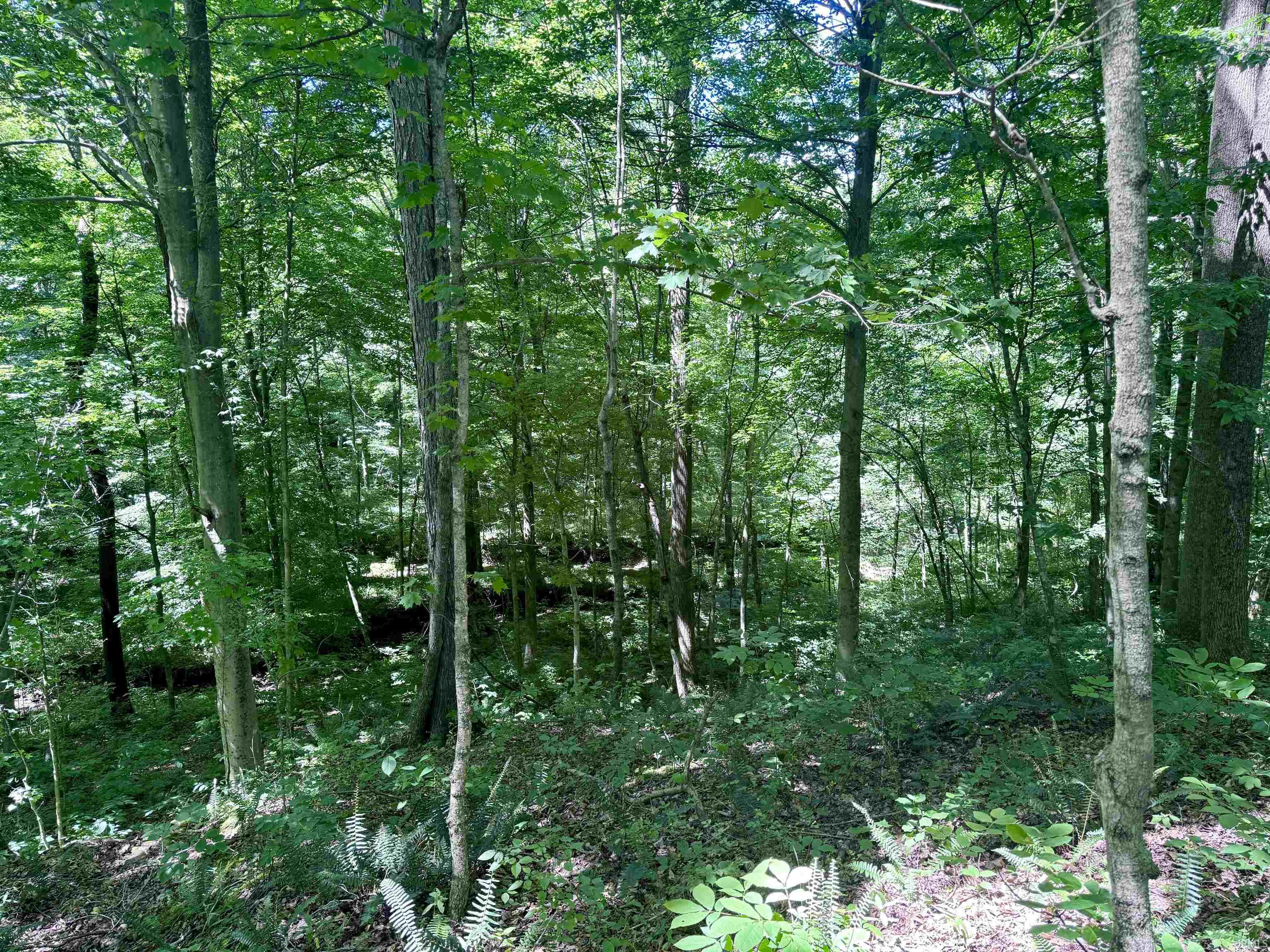 Off Off Westfork English, IN 47118 - Photo 32 of 36