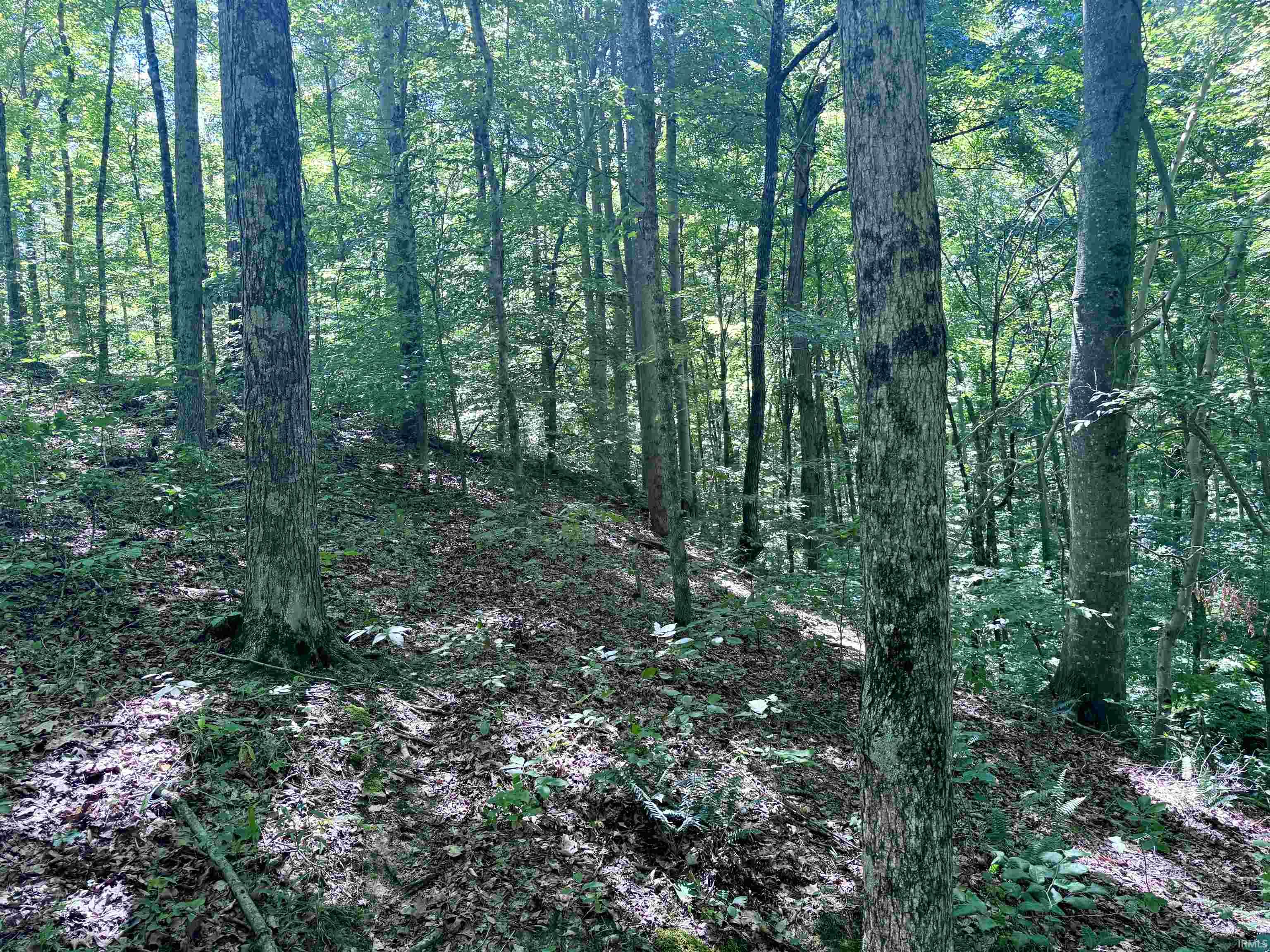 Off Off Westfork English, IN 47118 - Photo 33 of 36