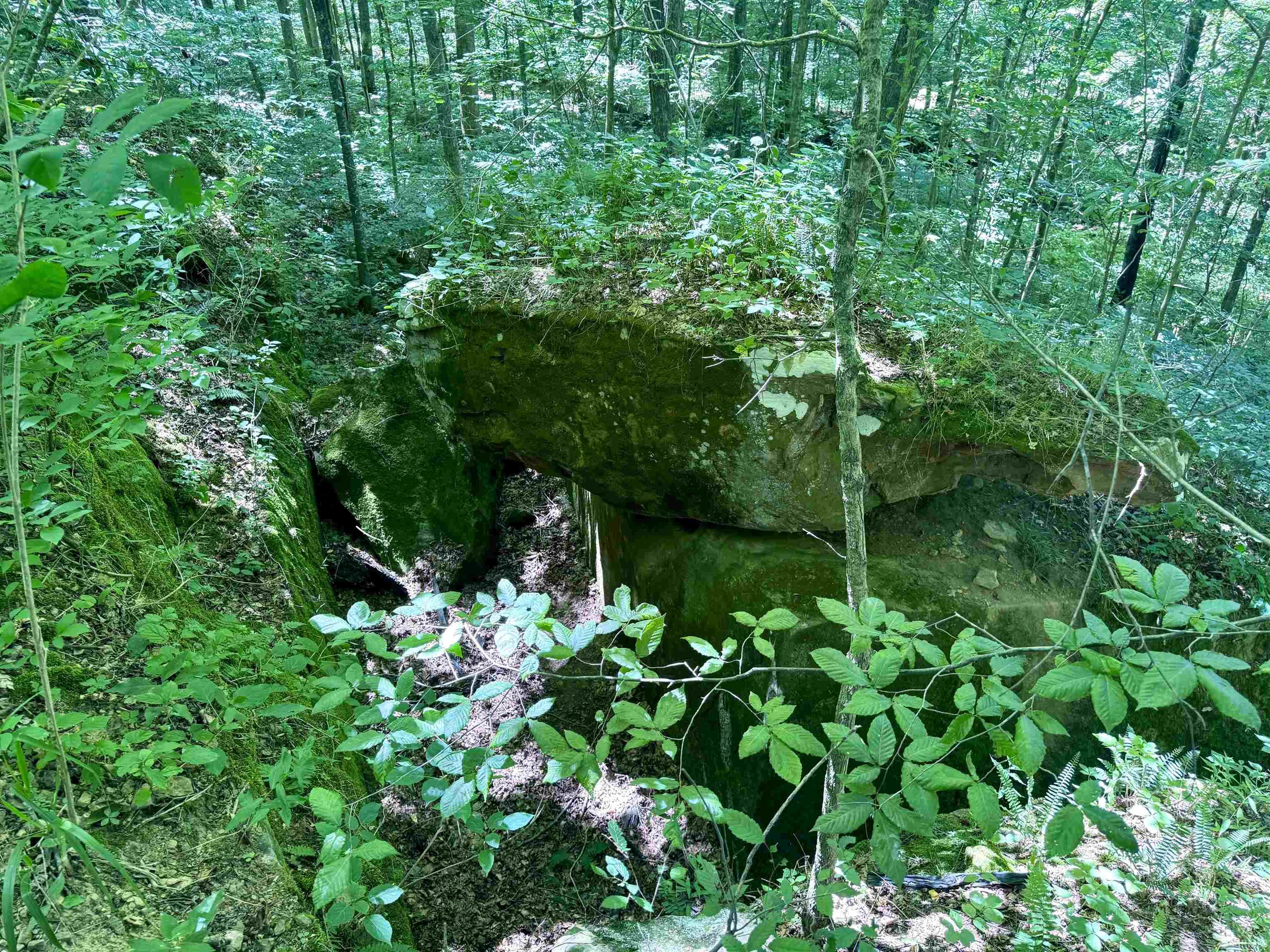 Off Off Westfork English, IN 47118 - Photo 35 of 36