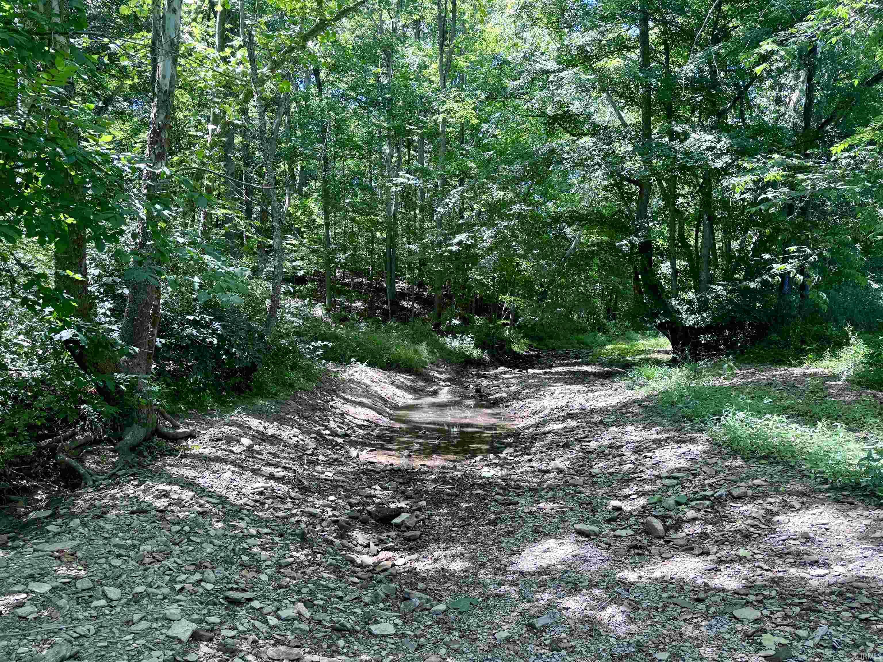 Off Off Westfork English, IN 47118 - Photo 5 of 36