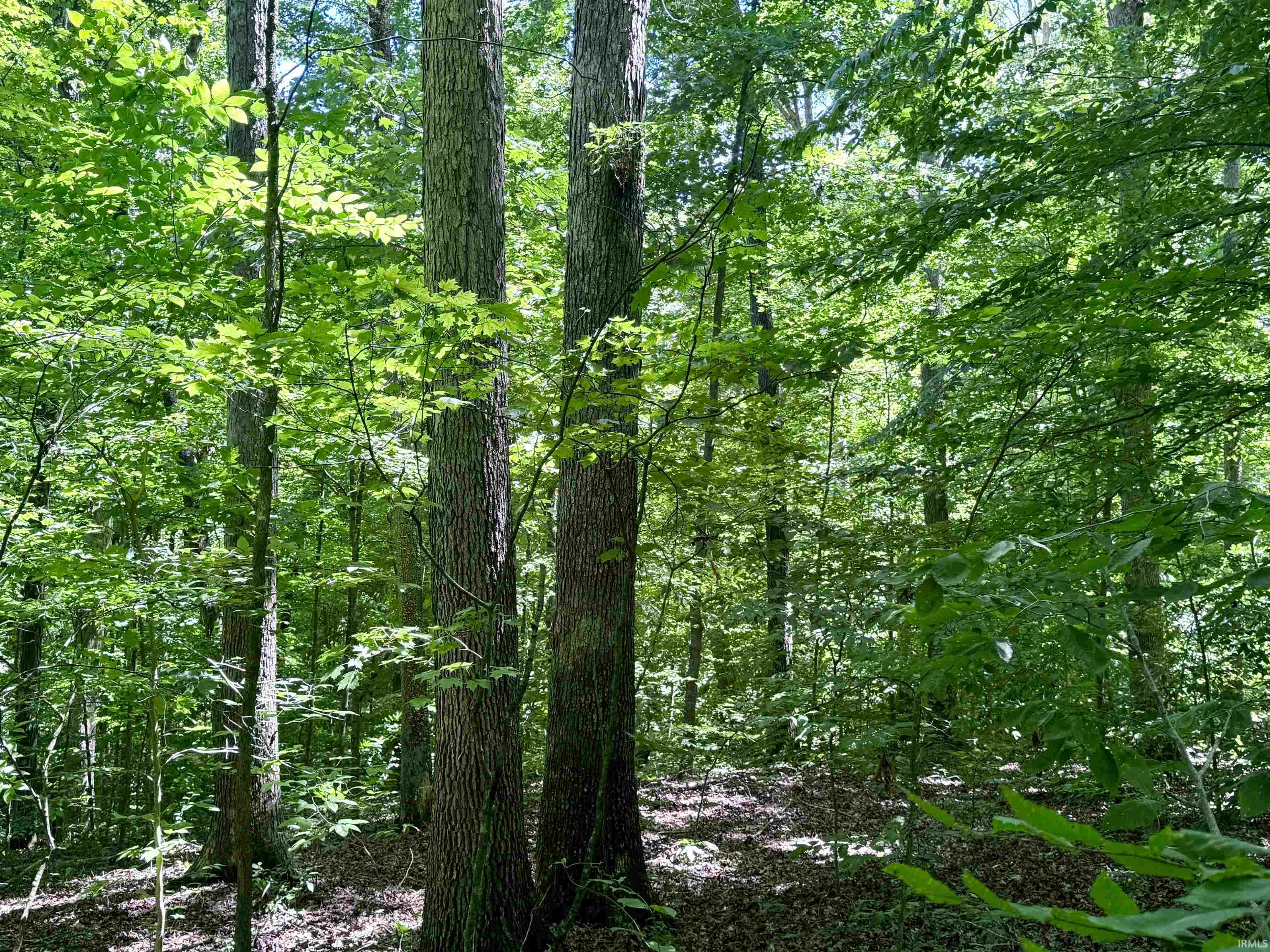 Off Off Westfork English, IN 47118 - Photo 8 of 36