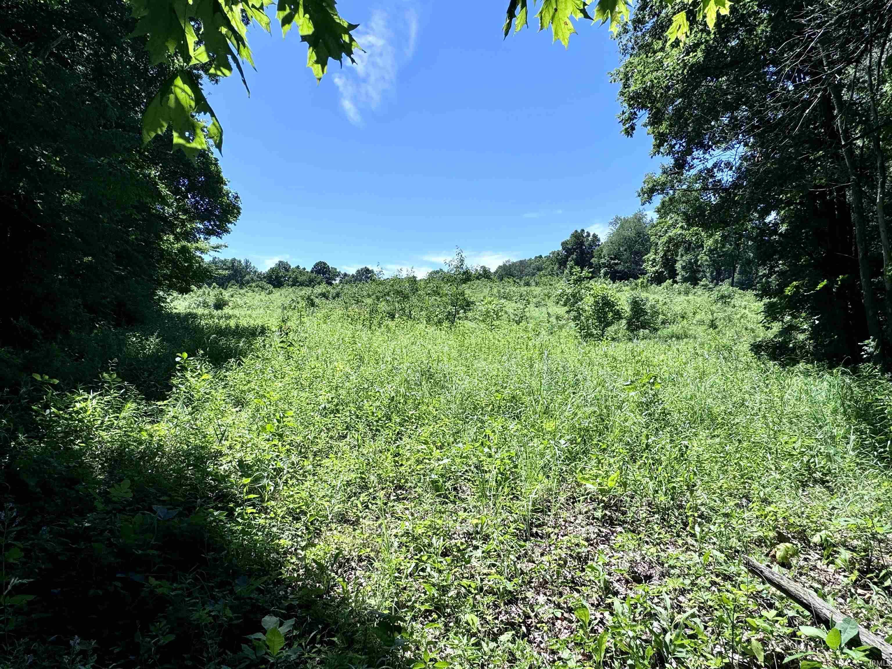 Off Off Westfork English, IN 47118 - Photo 10 of 36