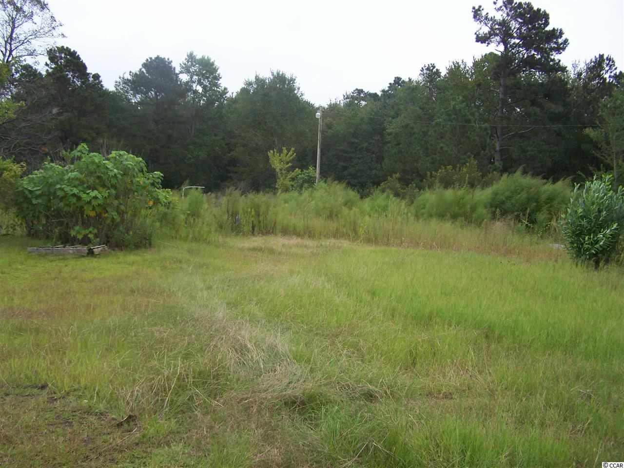 2729 Hugo Road Conway, SC 29527 - Photo 1 of 9