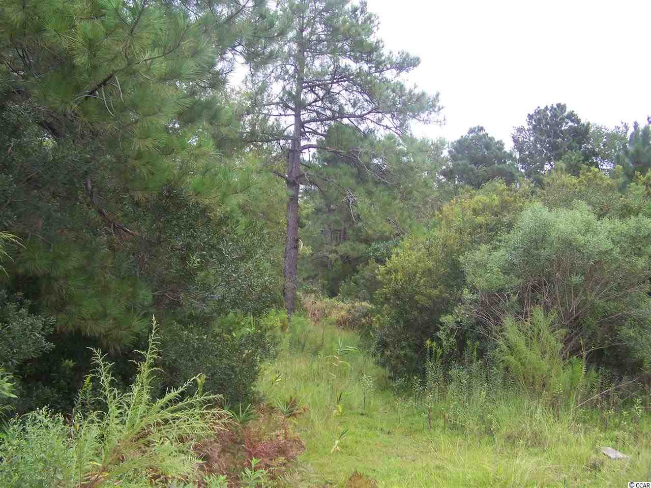 2729 Hugo Road Conway, SC 29527 - Photo 2 of 9
