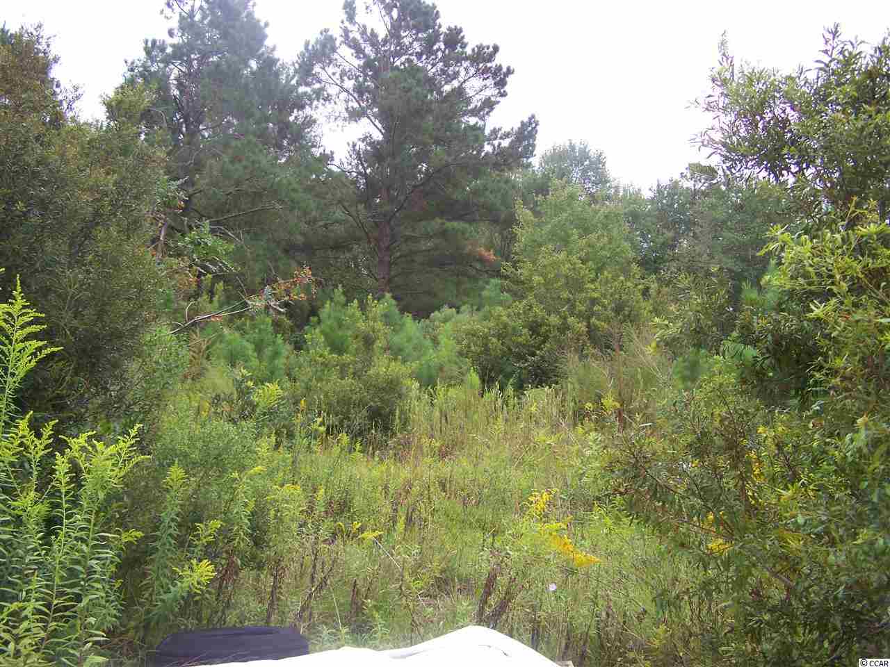 2729 Hugo Road Conway, SC 29527 - Photo 3 of 9