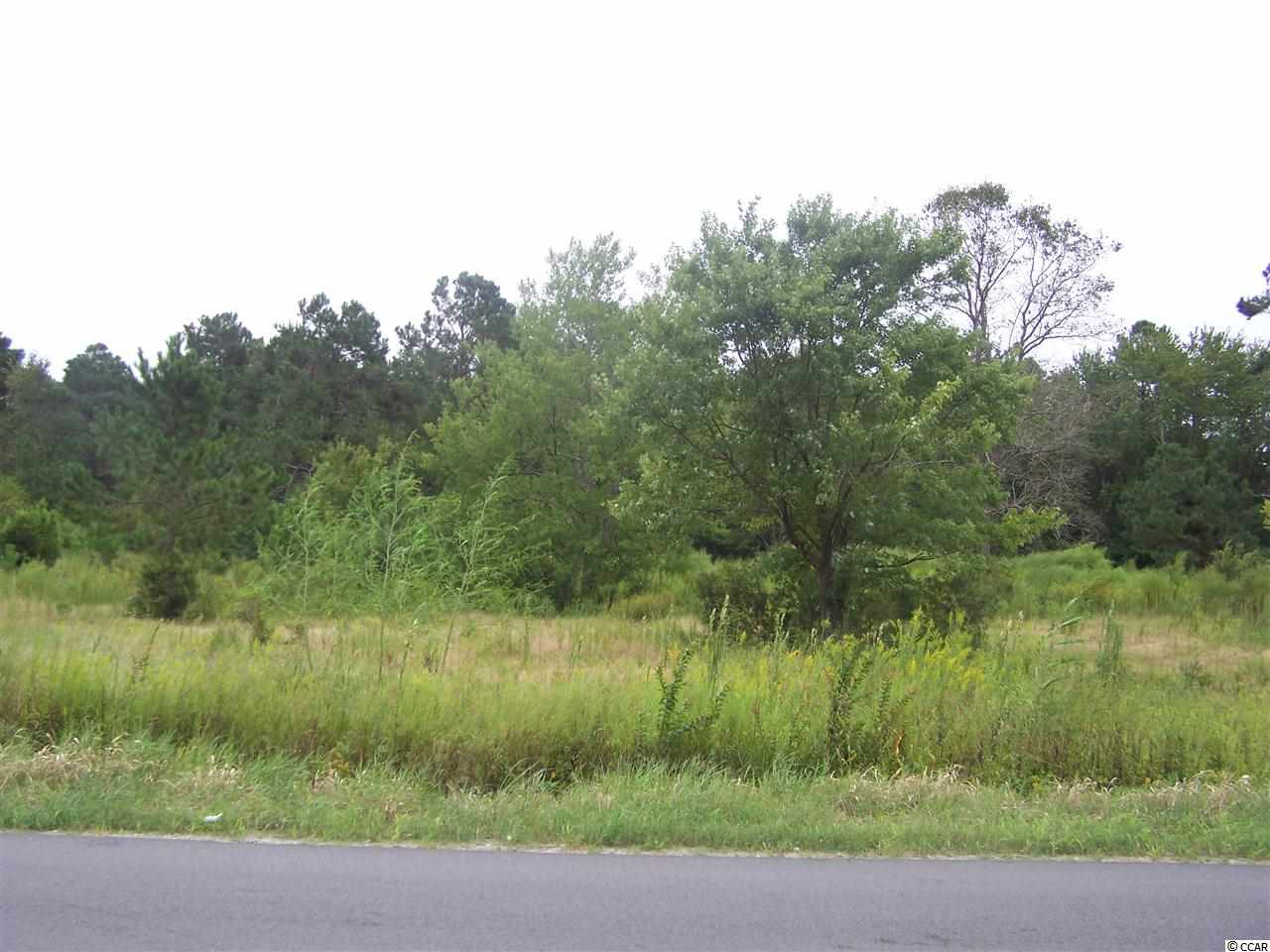 2729 Hugo Road Conway, SC 29527 - Photo 4 of 9