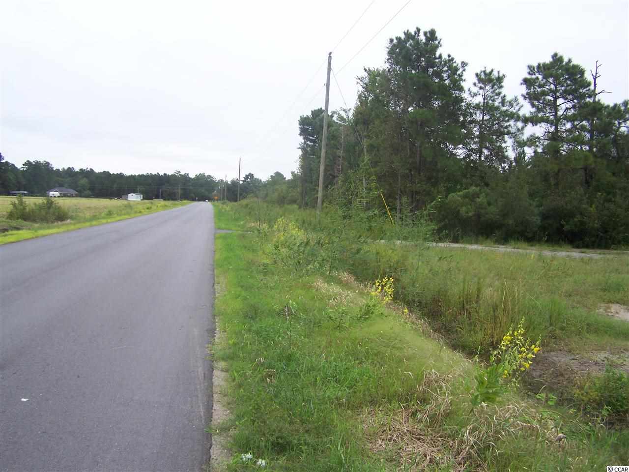 2729 Hugo Road Conway, SC 29527 - Photo 5 of 9