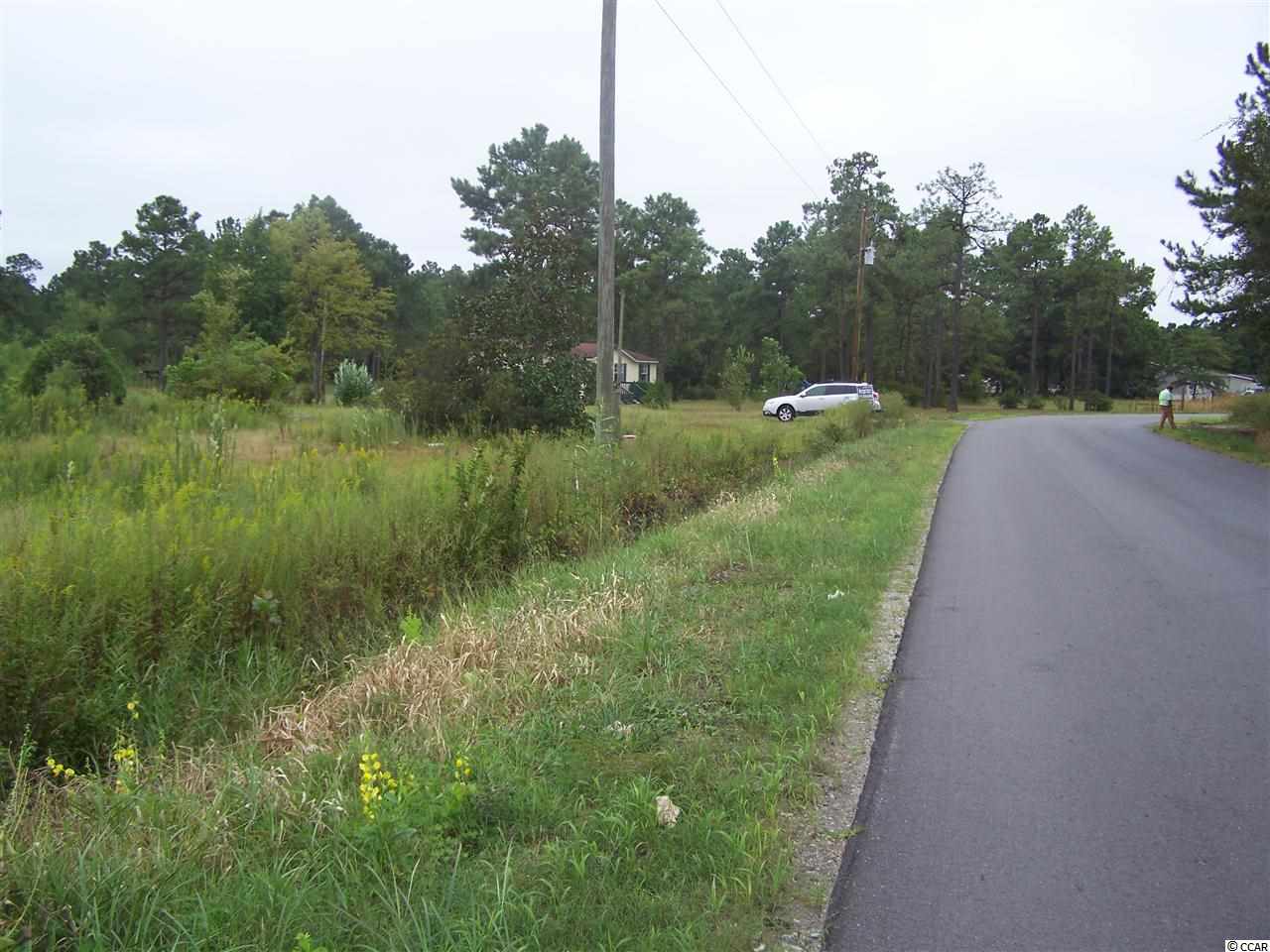 2729 Hugo Road Conway, SC 29527 - Photo 6 of 9
