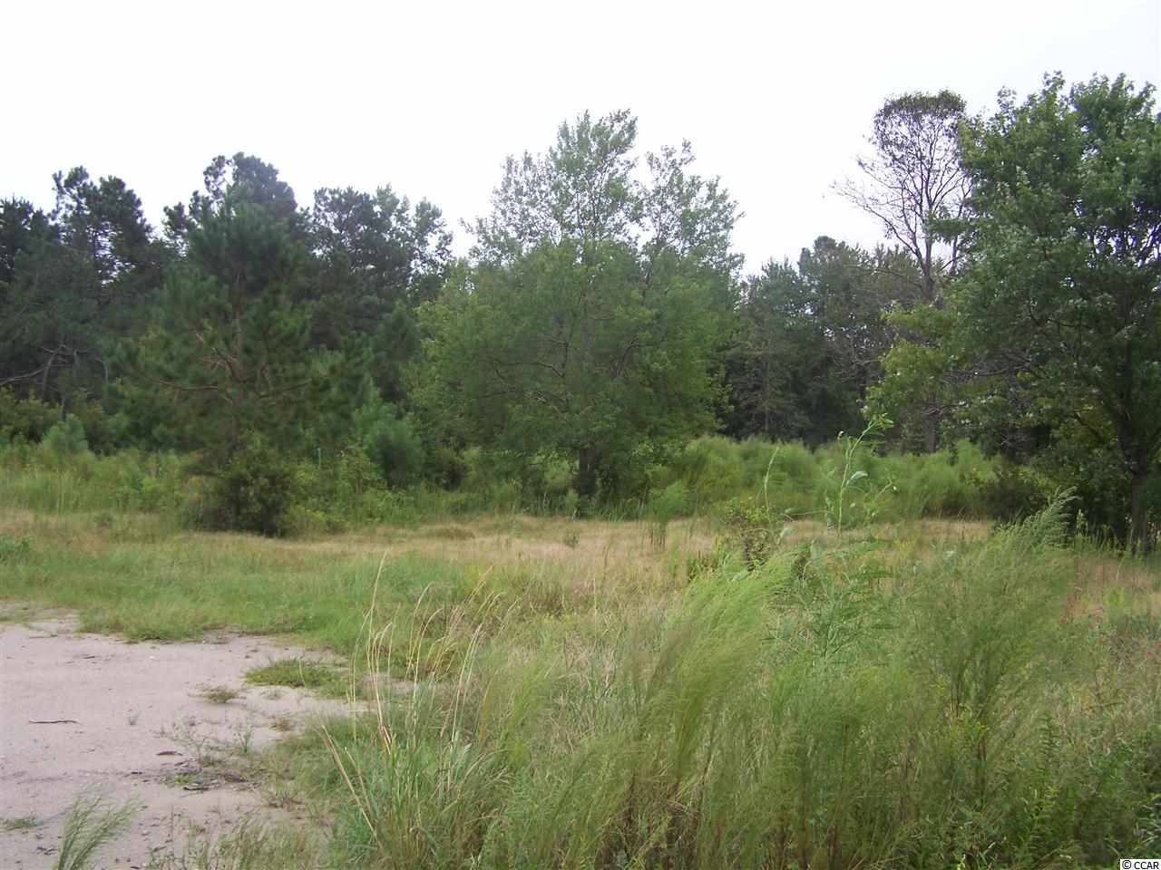 2729 Hugo Road Conway, SC 29527 - Photo 7 of 9