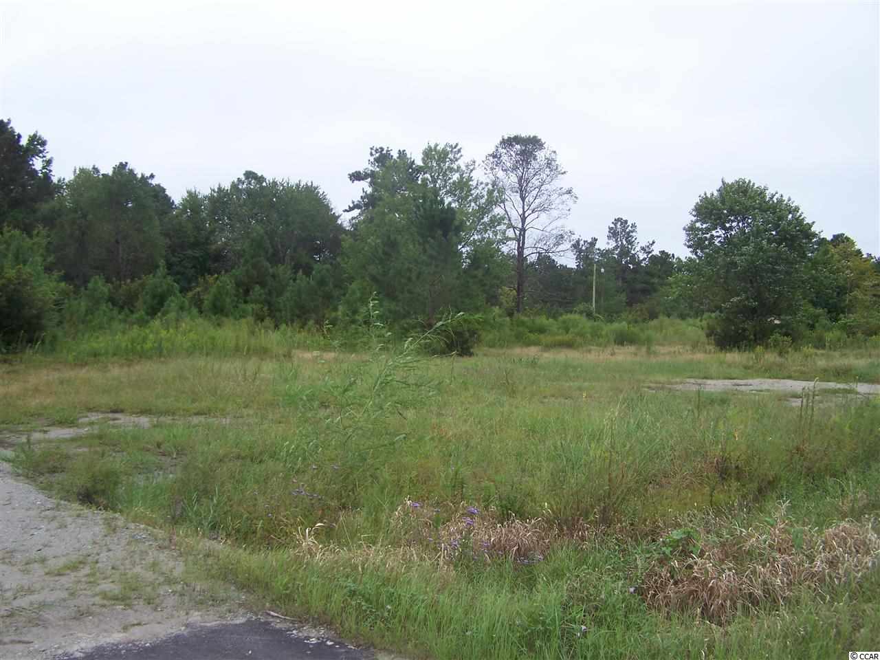 2729 Hugo Road Conway, SC 29527 - Photo 8 of 9