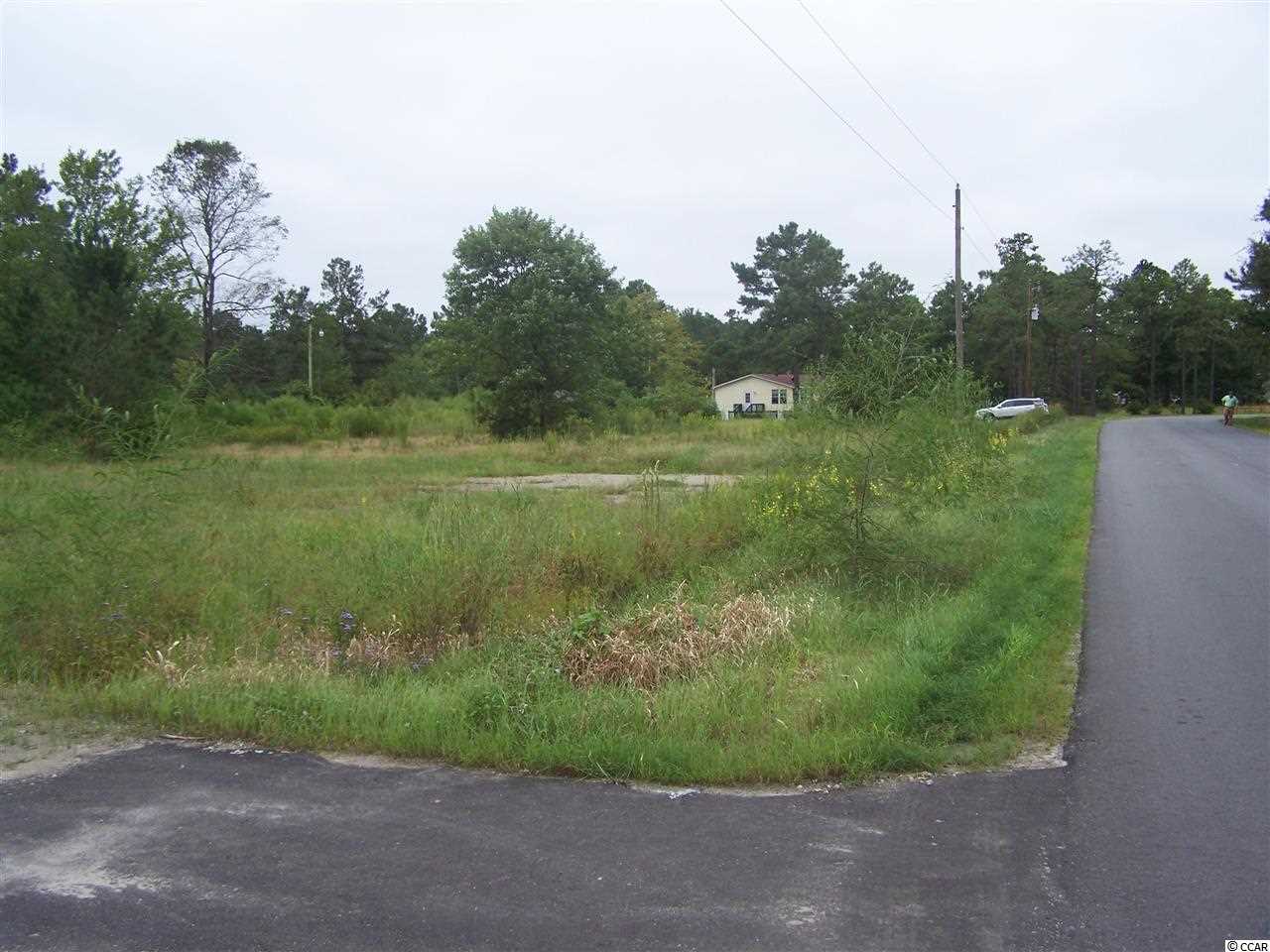 2729 Hugo Road Conway, SC 29527 - Photo 9 of 9