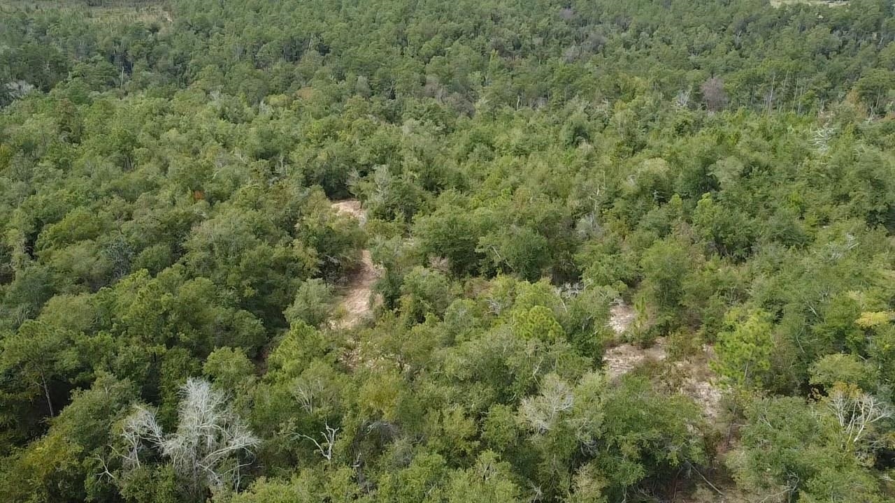 Xxx Northwest Richard Hardy Road West Bristol, FL 32321 - Photo 12 of 19 Gallery Image 12