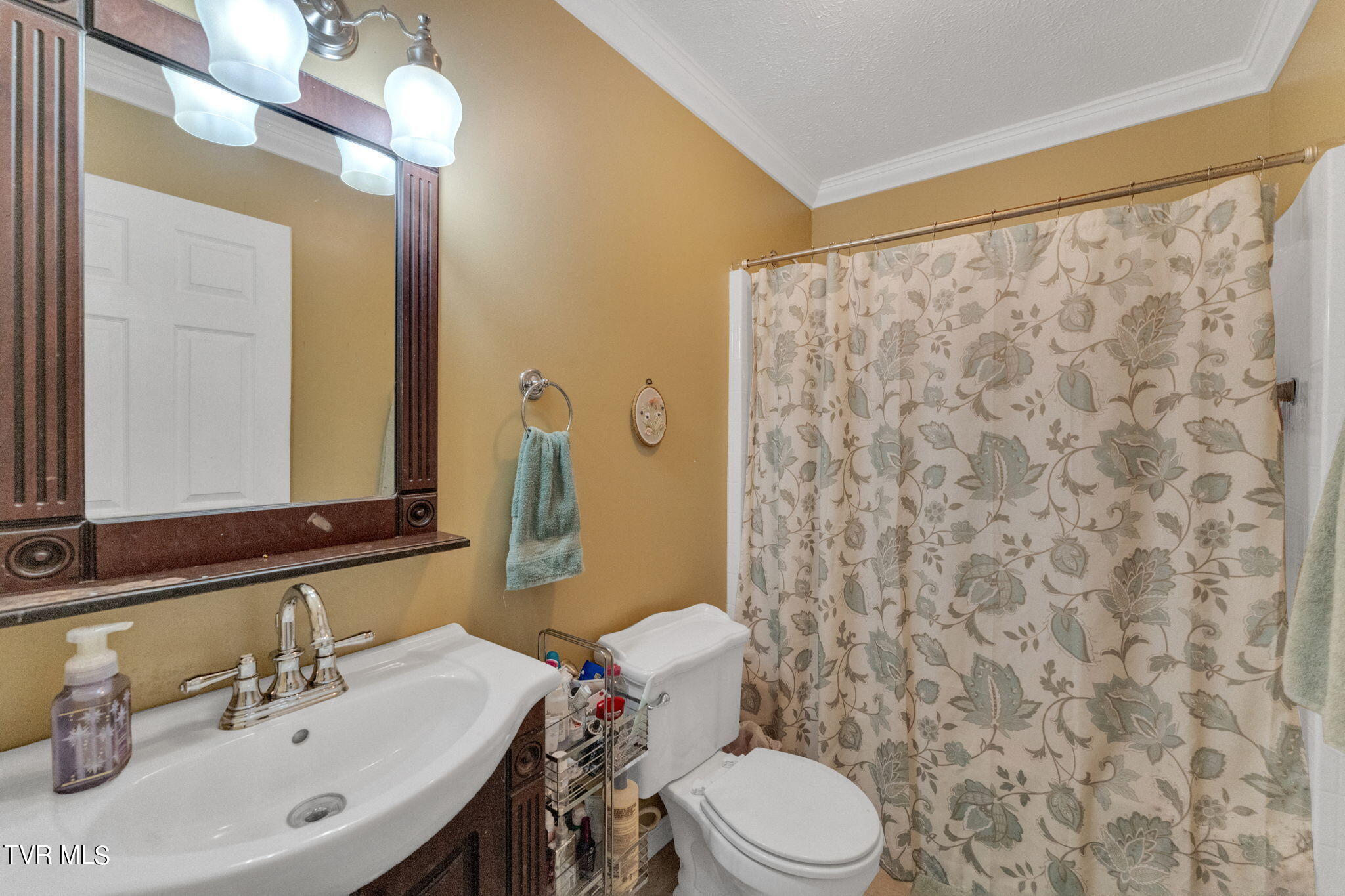 127 Hamilton Road Elizabethton, TN 37643 - Photo 30 of 46 29-web-or-mls-DSC05386