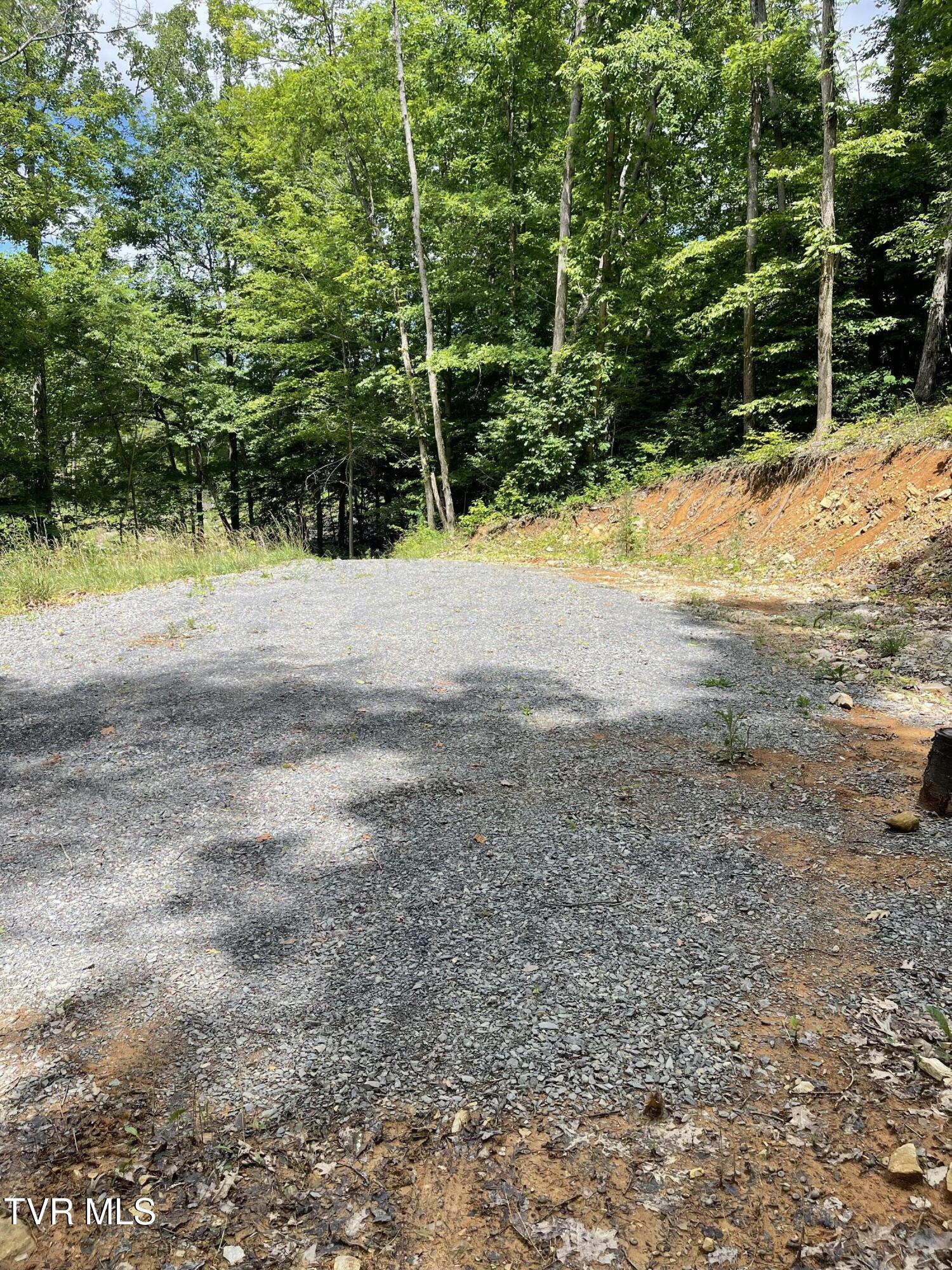Tbd Johnson Hollow Road Bristol, TN 37620 - Photo 3 of 17 IMG_5101