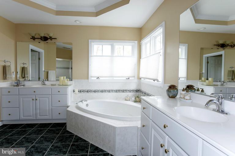 12705 Travilah Road Potomac, MD 20854 - Photo 5 of 29 Bath (Master)