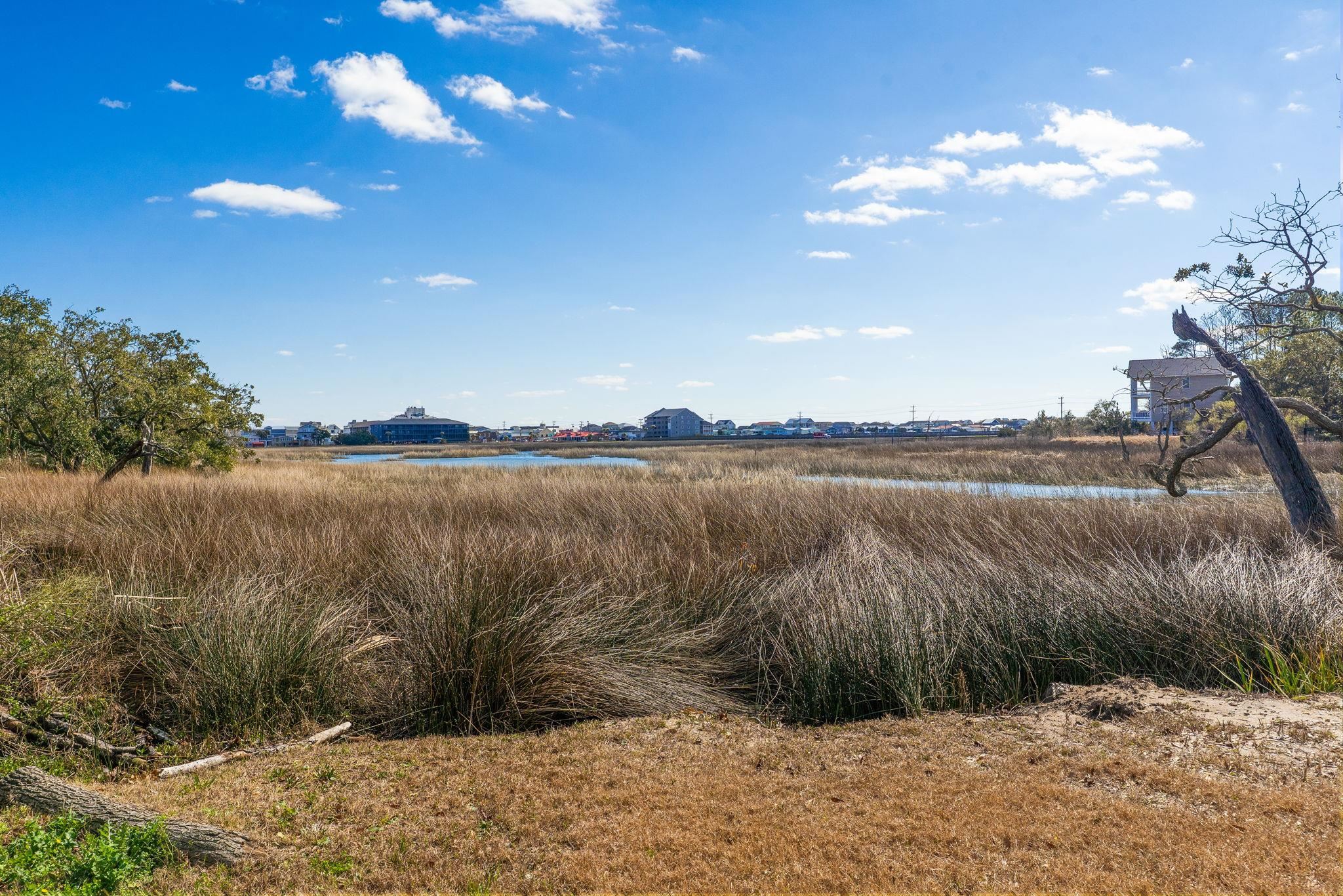 400 Elizabeth Drive Murrells Inlet, SC 29576 - Photo 30 of 50