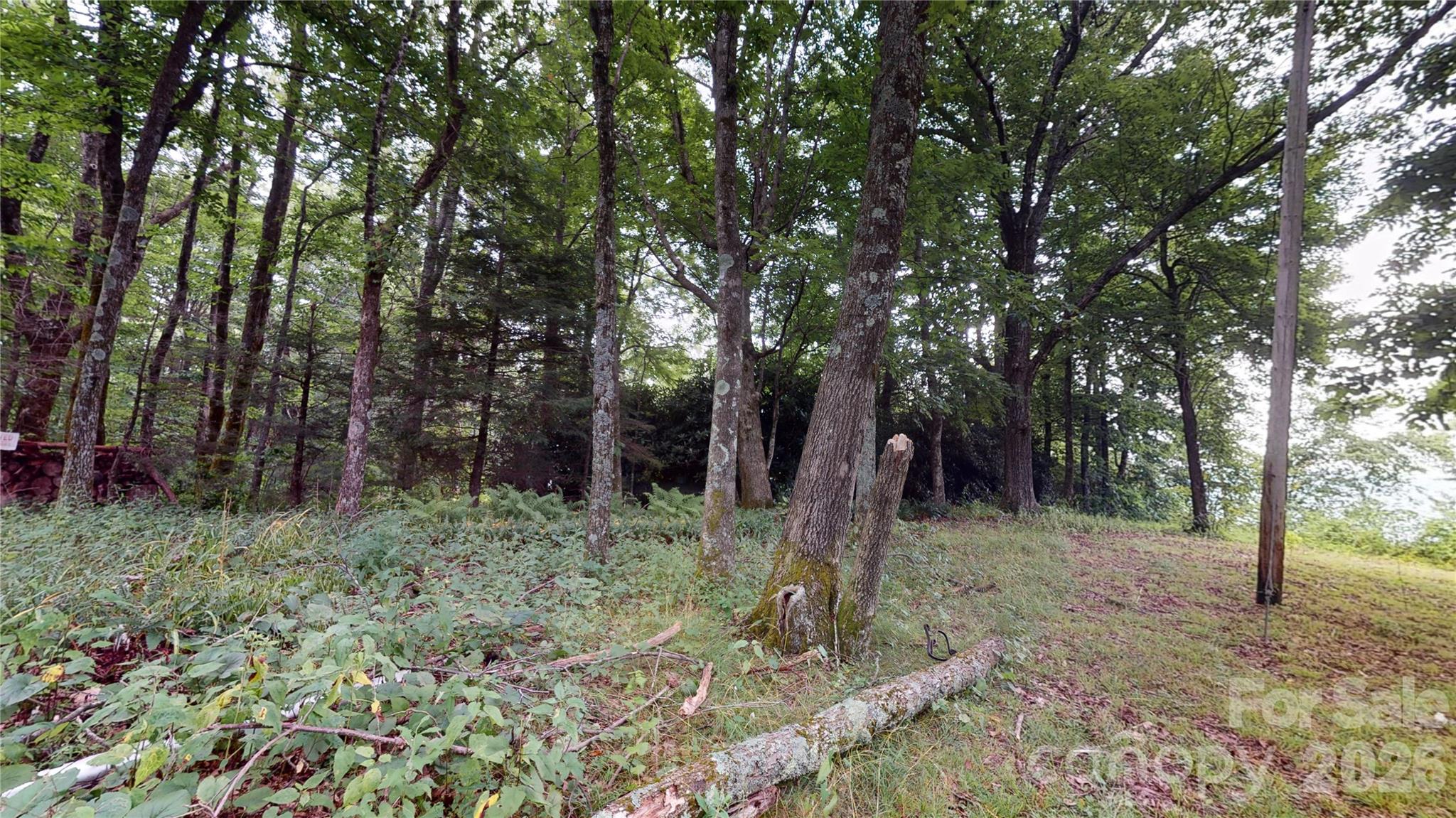 200 Osborn Knob Road Marion, NC 28752 - Photo 18 of 21