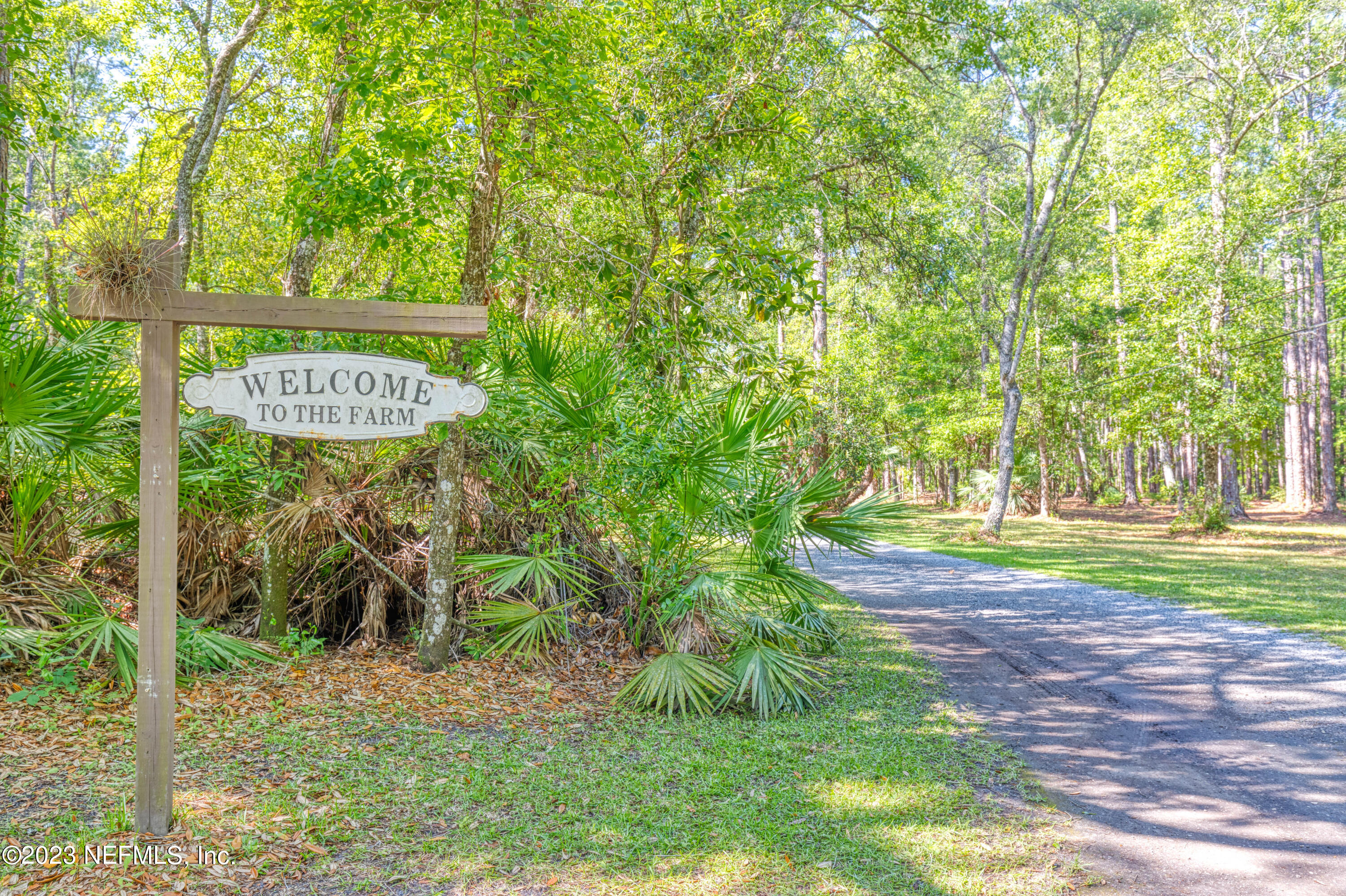 3075 Joe Ashton Road St. Augustine, FL 32092 - Photo 2 of 50 Welcome to the Farm