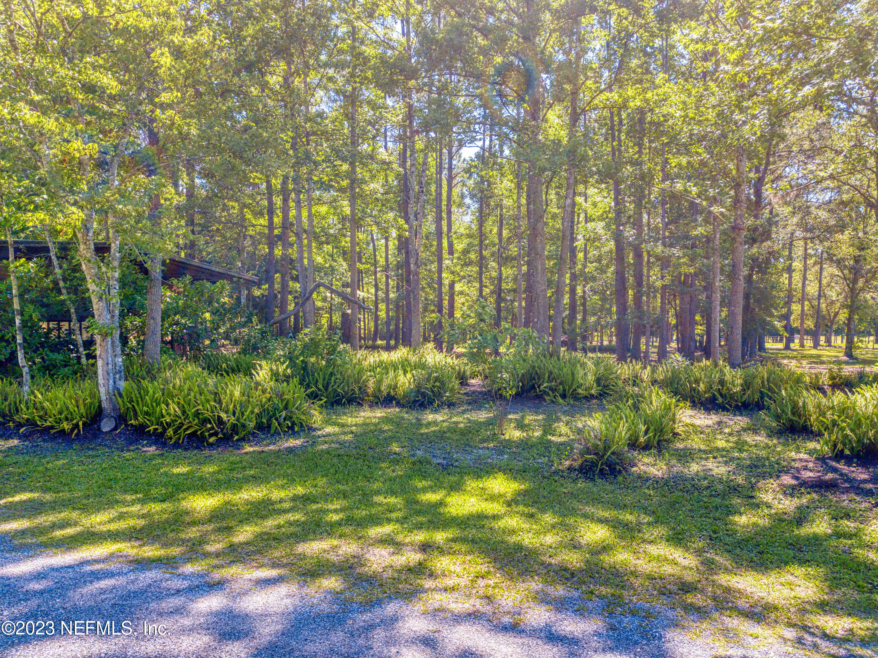 3075 Joe Ashton Road St. Augustine, FL 32092 - Photo 38 of 50 Lots of natural growth throughout