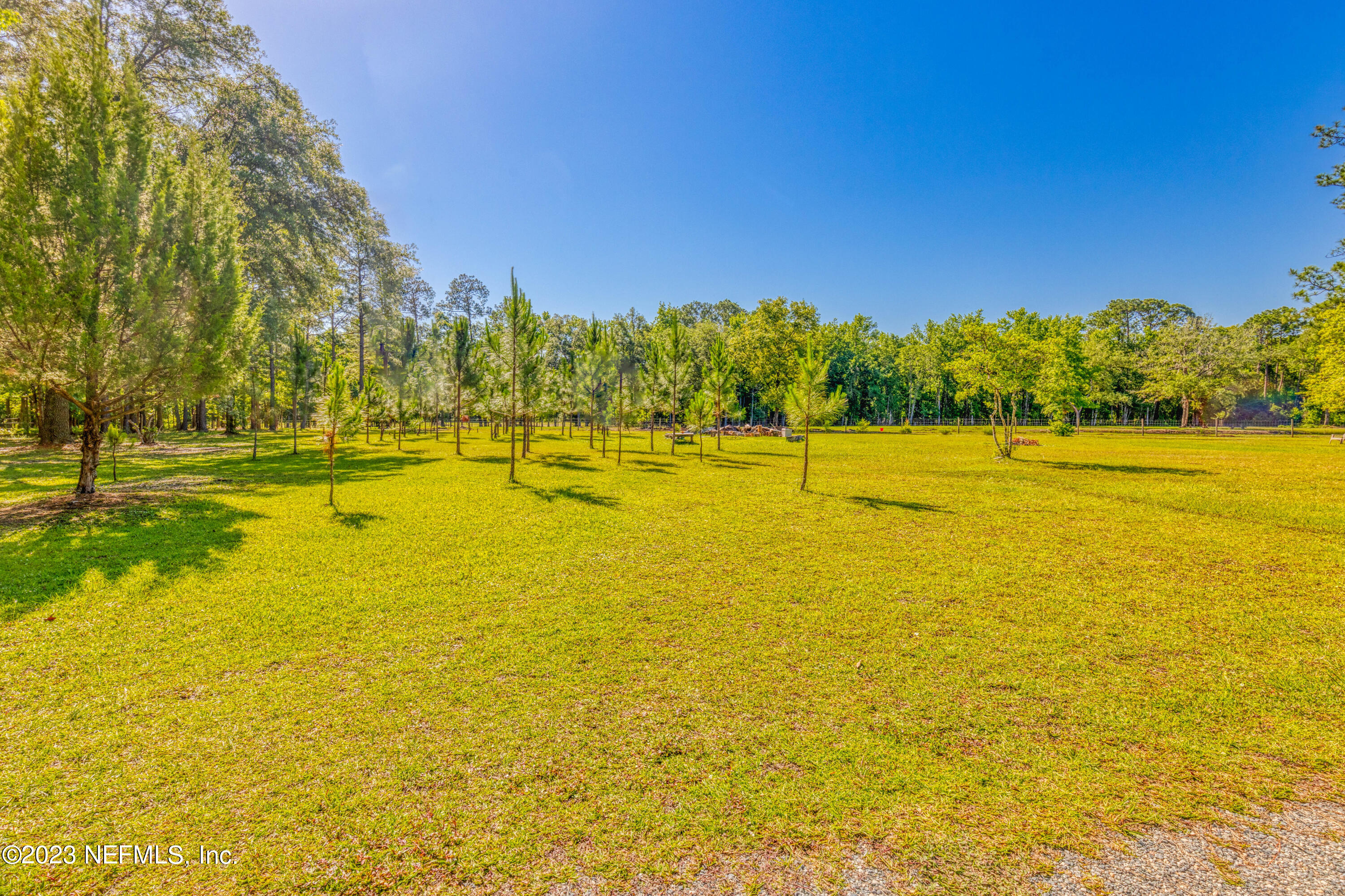 3075 Joe Ashton Road St. Augustine, FL 32092 - Photo 47 of 50 Animals will wander through the property