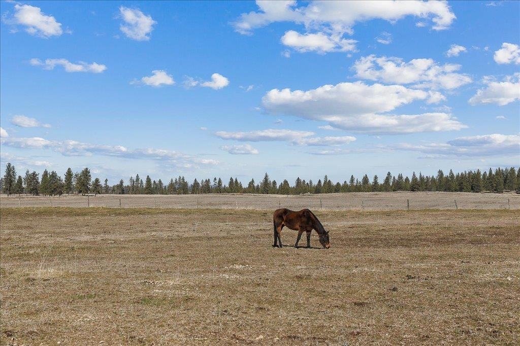 7411 North Rambo Road Spokane, WA 99224 - Photo 30 of 32