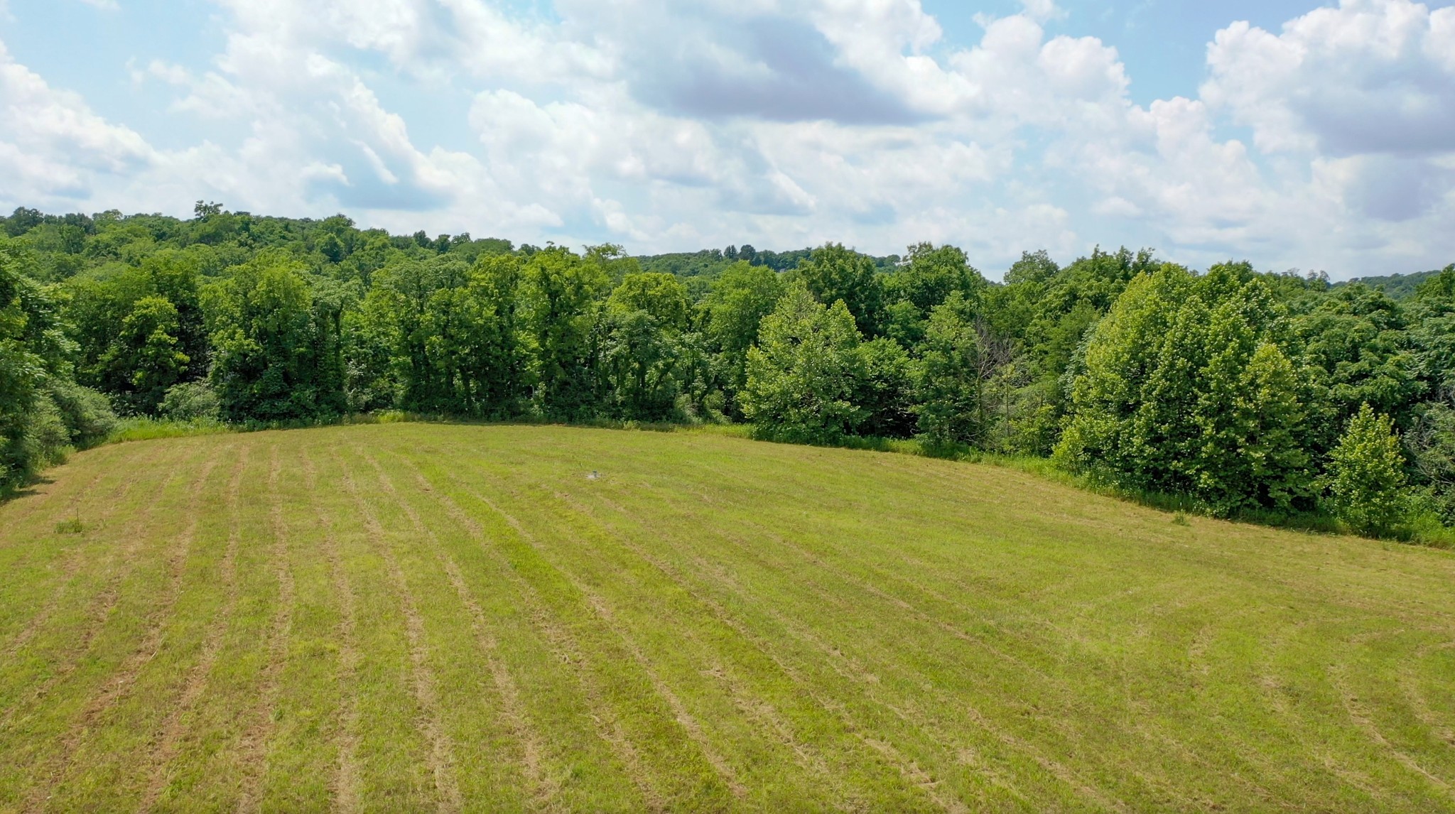 a view of a big yard with lots of green space