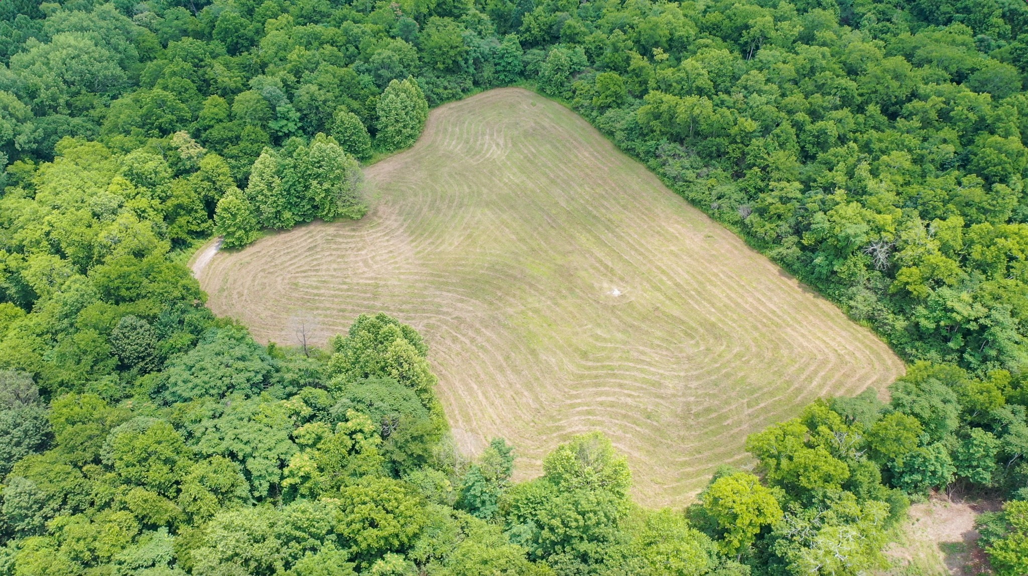 0 Parsons Bend Road Columbia, TN 38401 - Photo 11 of 34 a view of a backyard