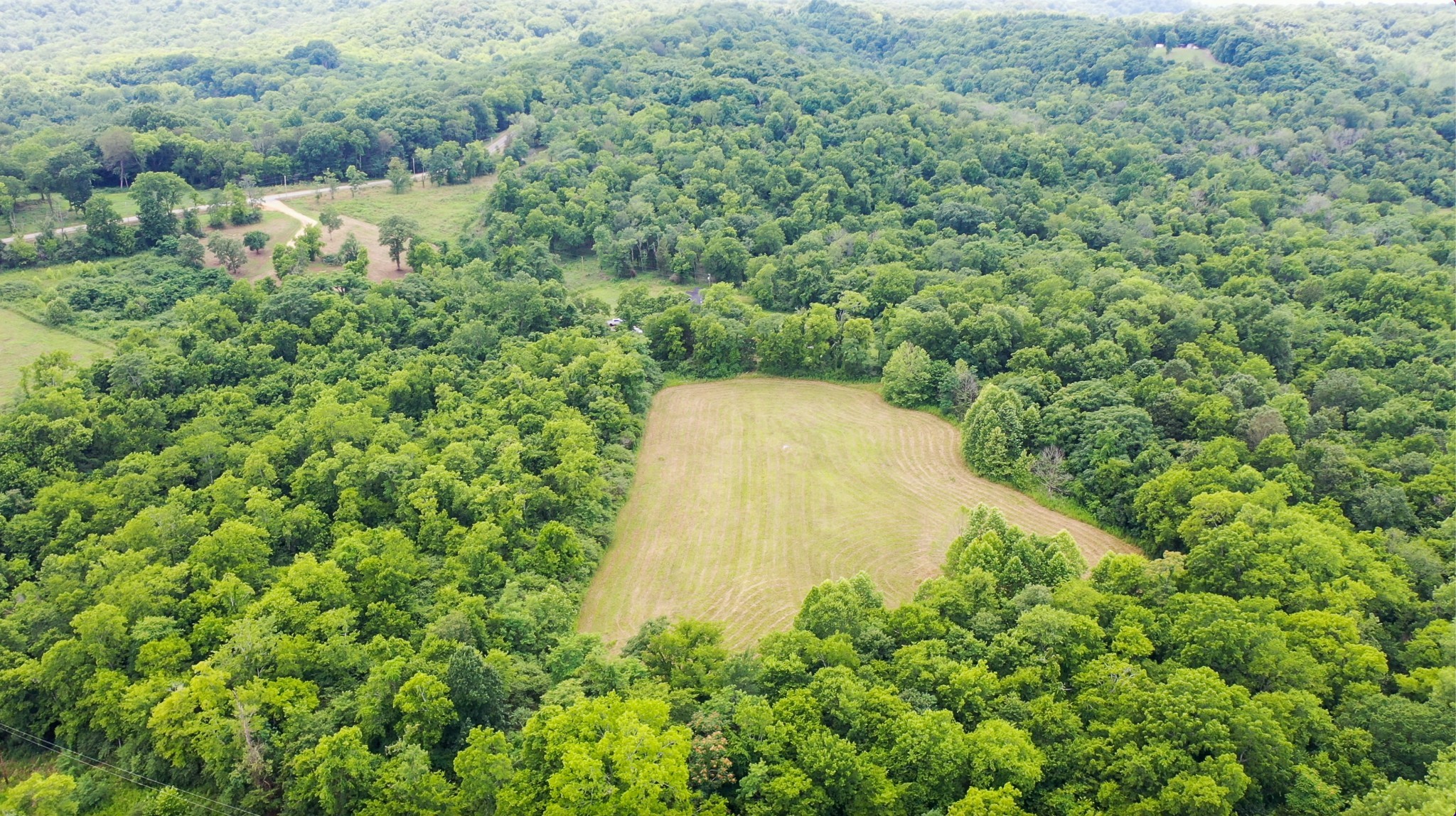 0 Parsons Bend Road Columbia, TN 38401 - Photo 13 of 34 a view of a garden with a house