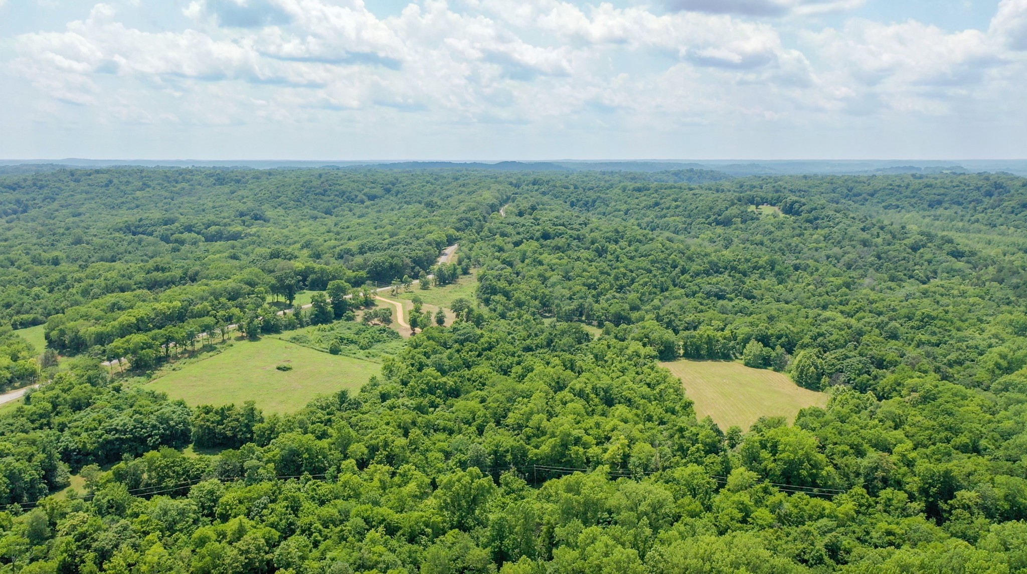 0 Parsons Bend Road Columbia, TN 38401 - Photo 17 of 34 a view of a big yard with lots of green space and plants