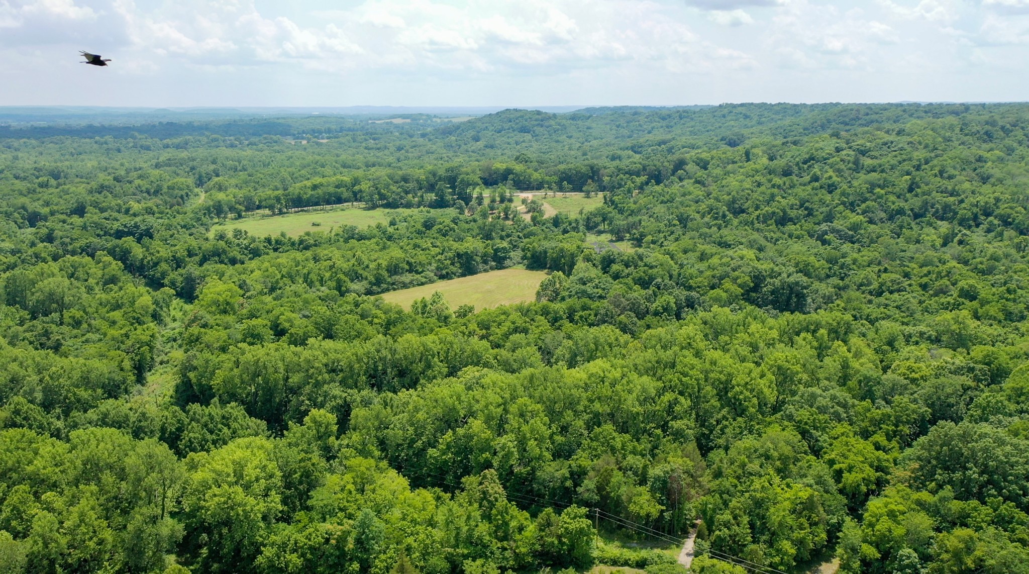 0 Parsons Bend Road Columbia, TN 38401 - Photo 20 of 34 a view of a field of grass and trees